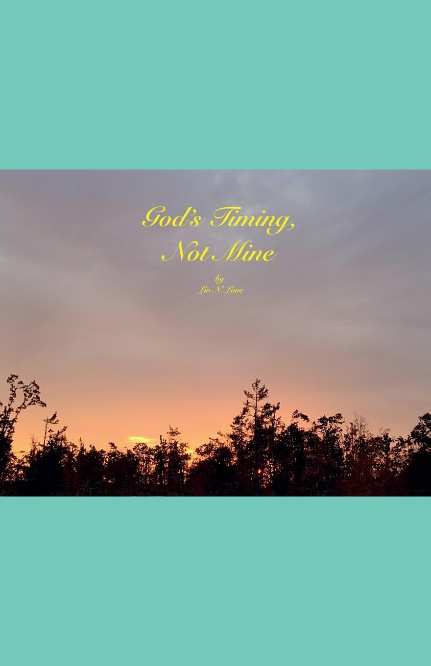 God's Timing, Not Mine Contemporary literature