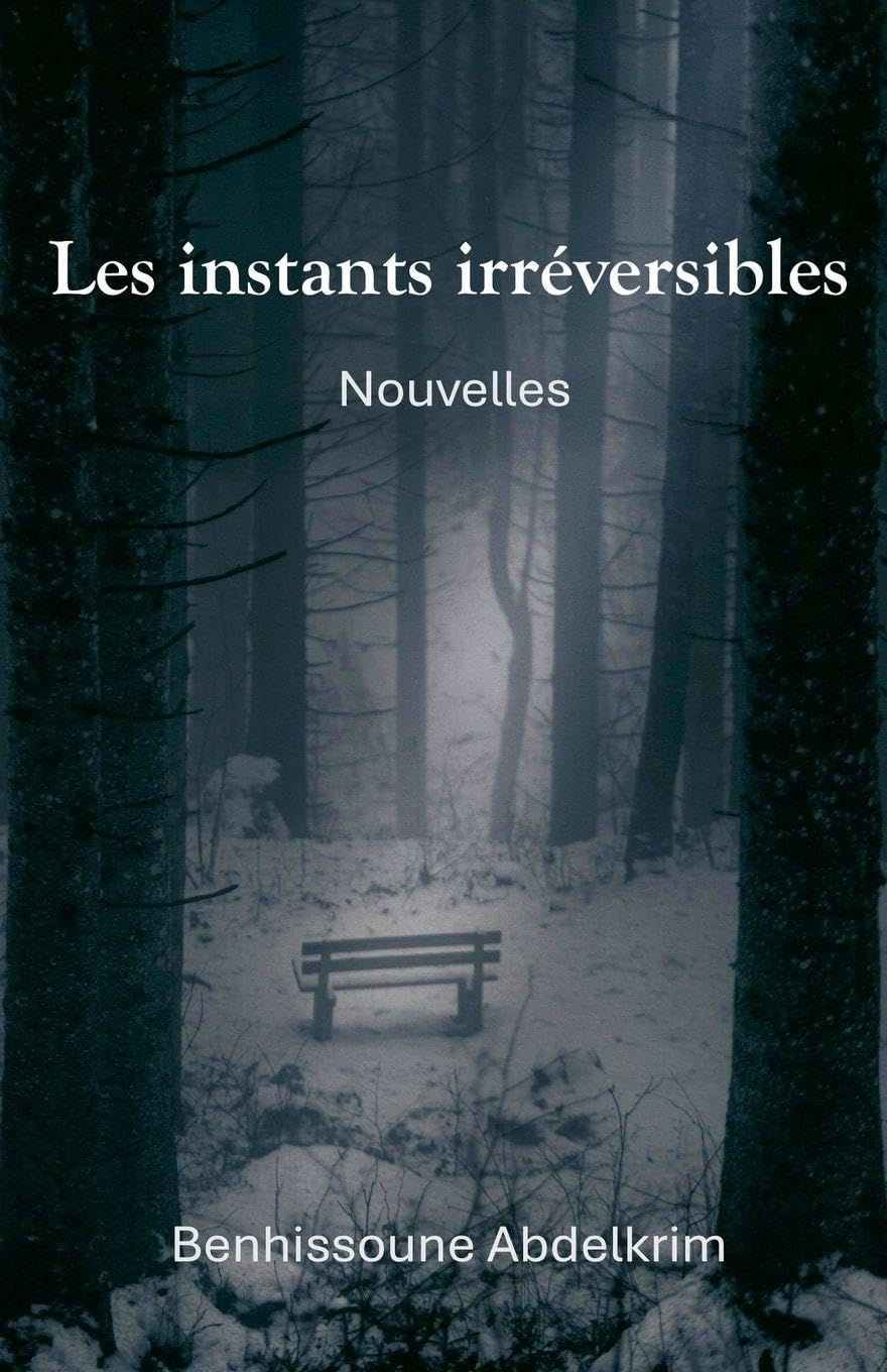 Les instants irréversibles Contemporary literature