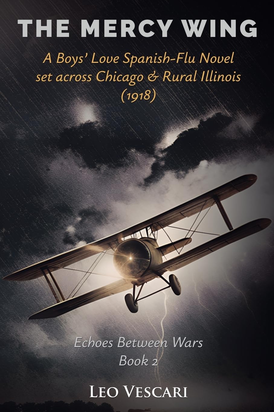 The Mercy Wing - A Boys' Love Spanish-Flu Novel set across Chicago & Rural Illinois (1918) LGBTQ+