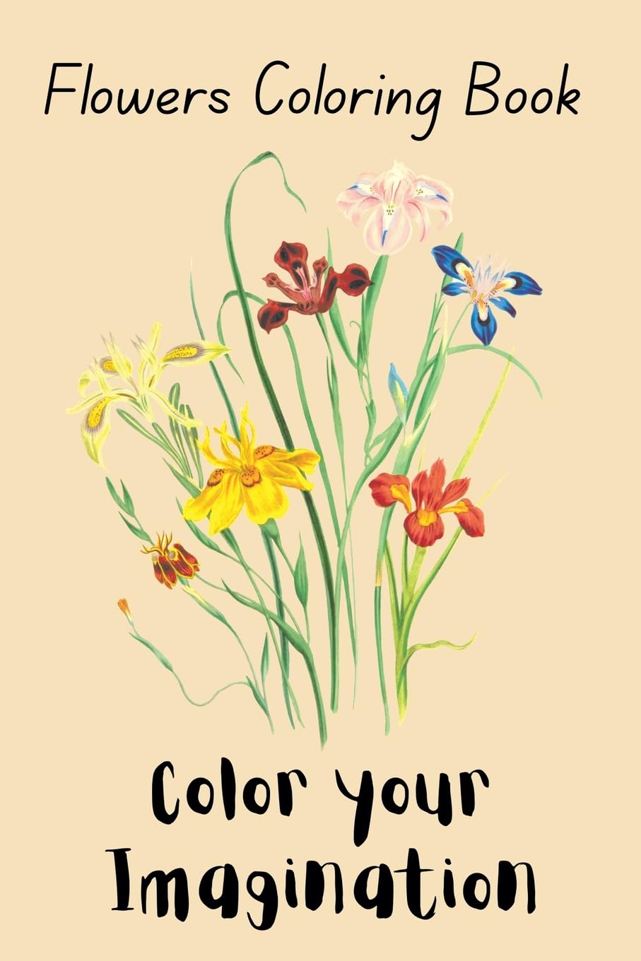 Flowers Coloring Book  Color Your Imagination Education