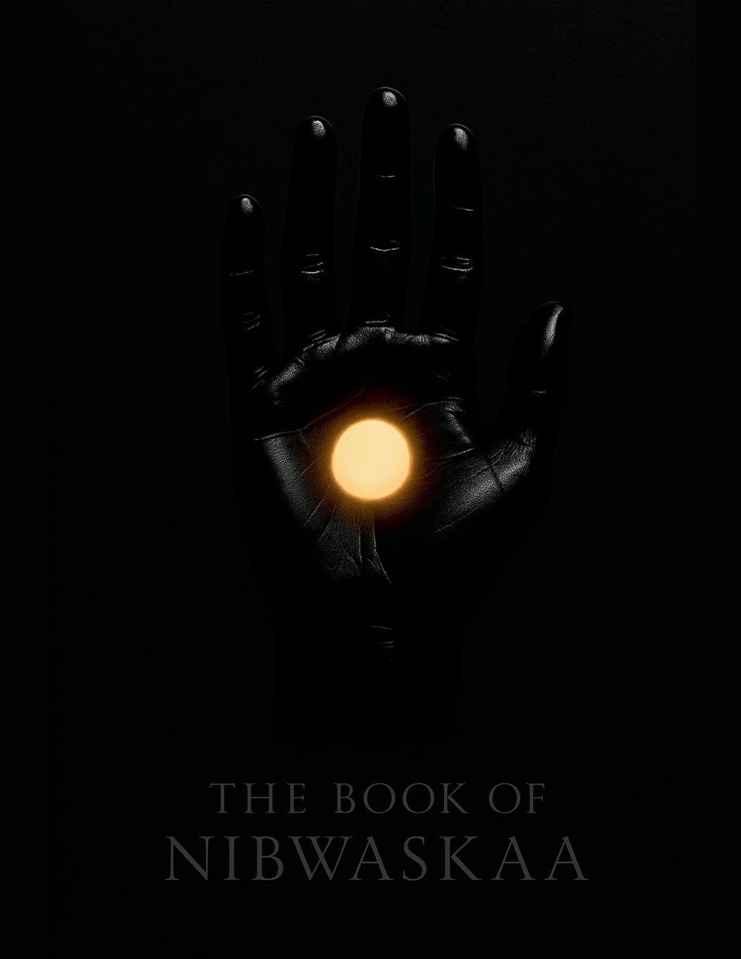 The Book of Nibwaskaa Religion & Esotericism
