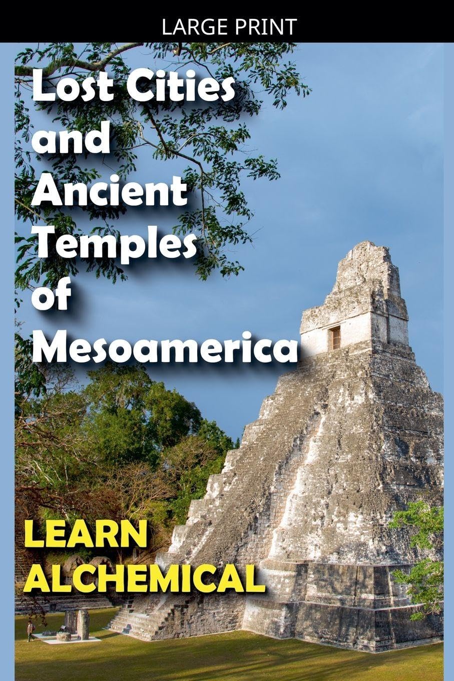 Lost Cities and Ancient Temples of Mesoamerica Politics & History