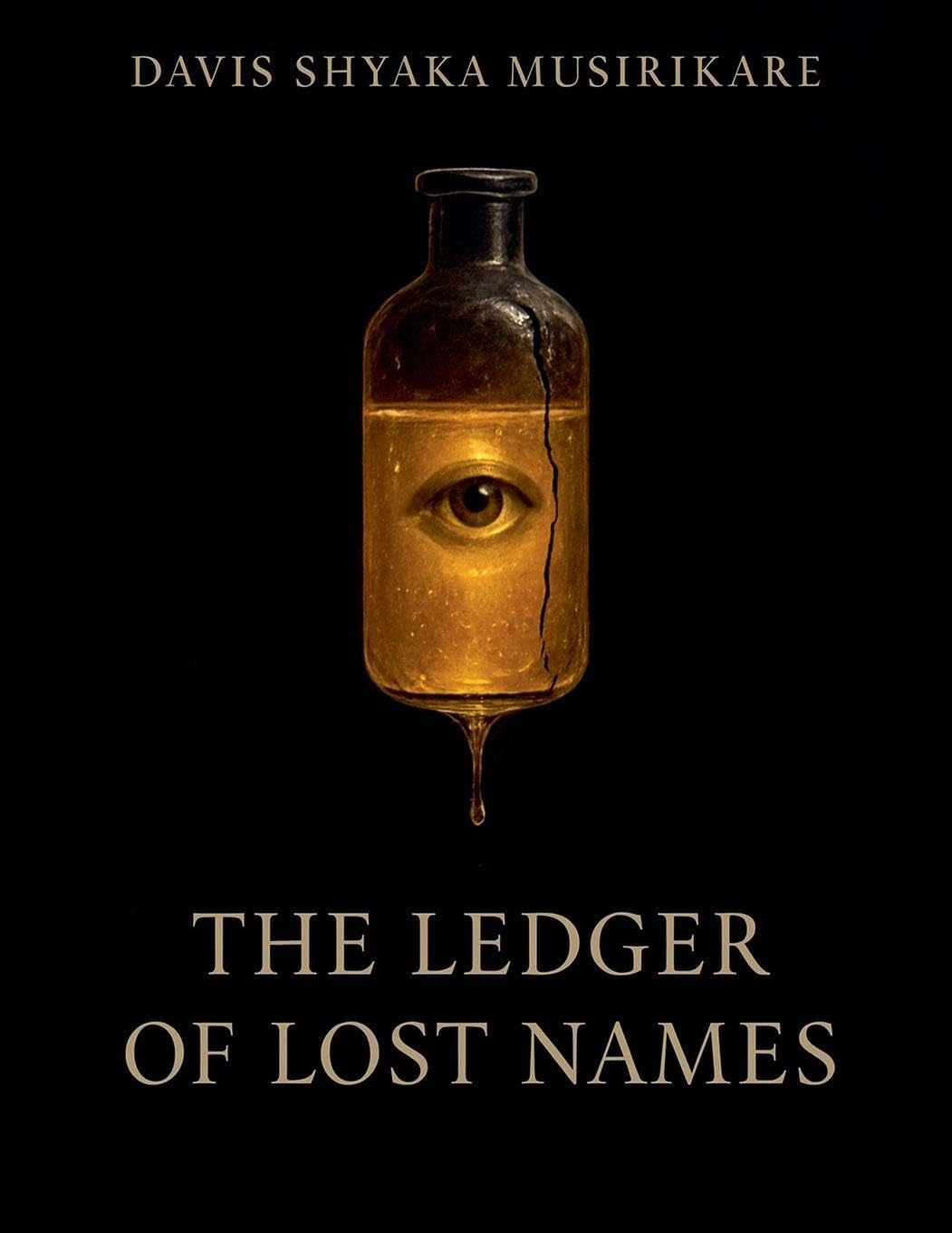 The Ledger of Lost Names Contemporary literature