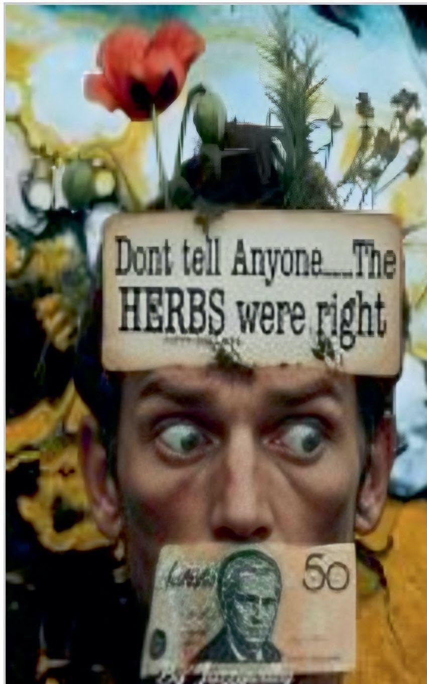 Don't Tell Anyone....The HERBS were right Garden & Plants