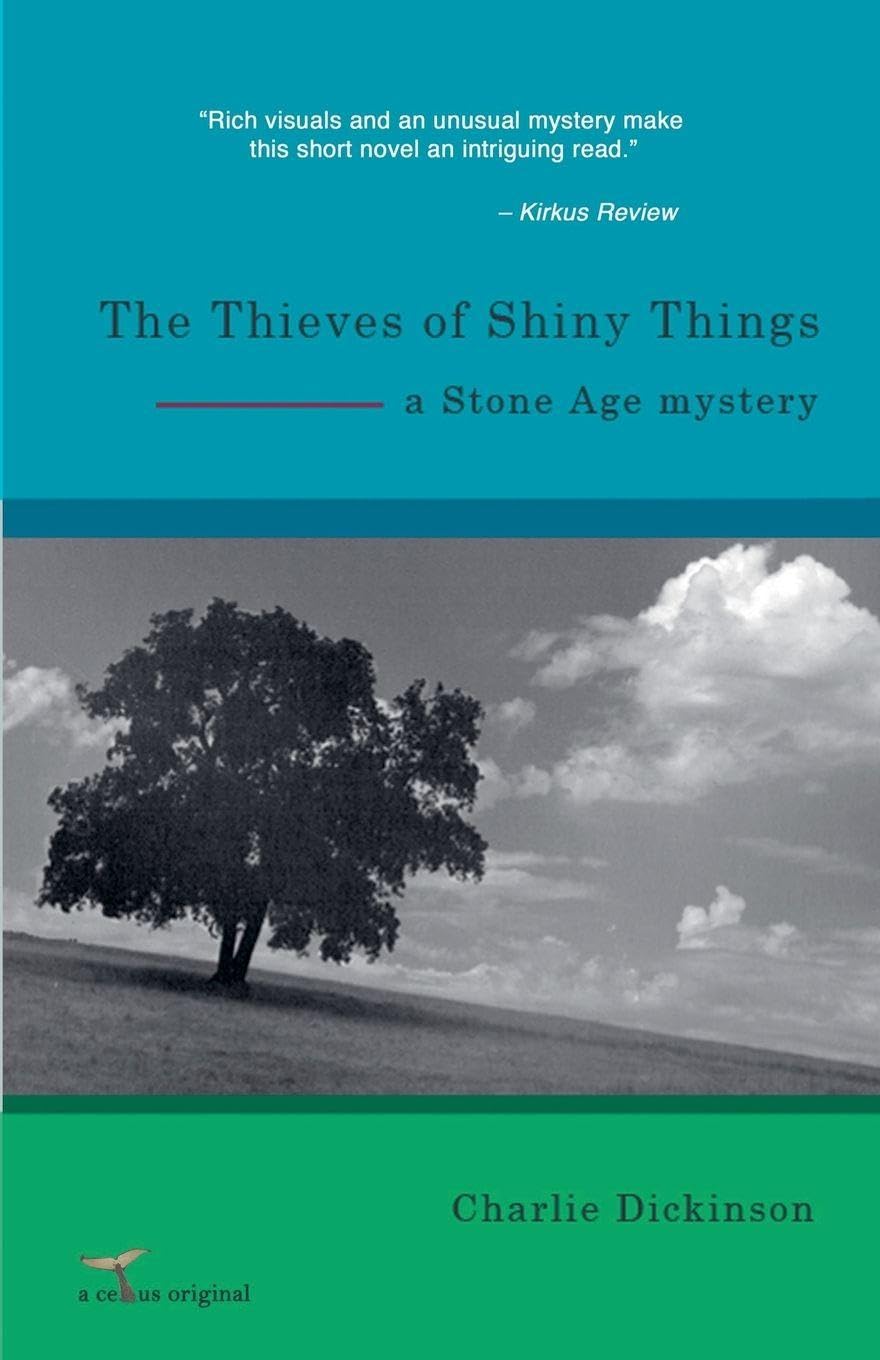 The Thieves of Shiny Things Historical Fiction