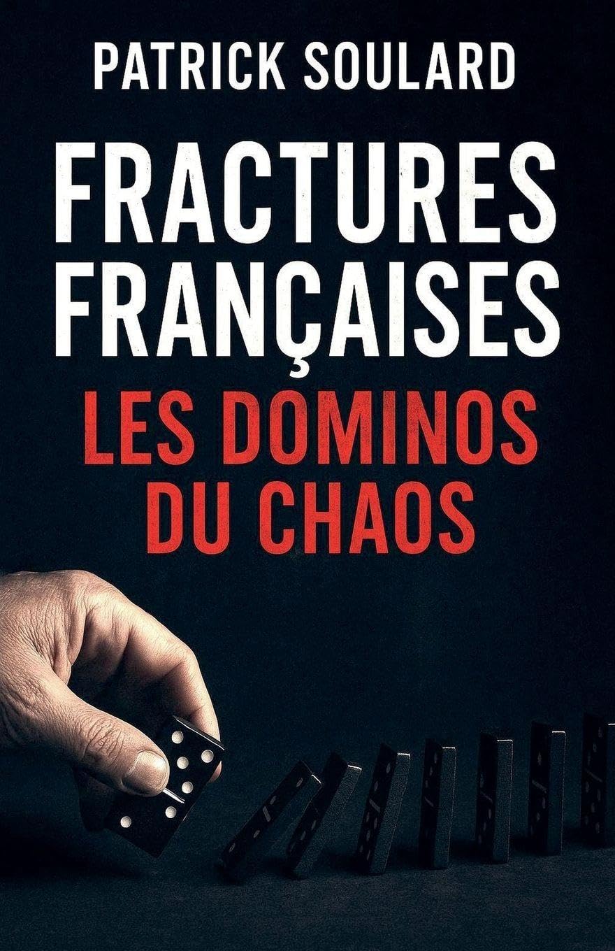 Fractures Françaises, le domino du chaos Contemporary literature