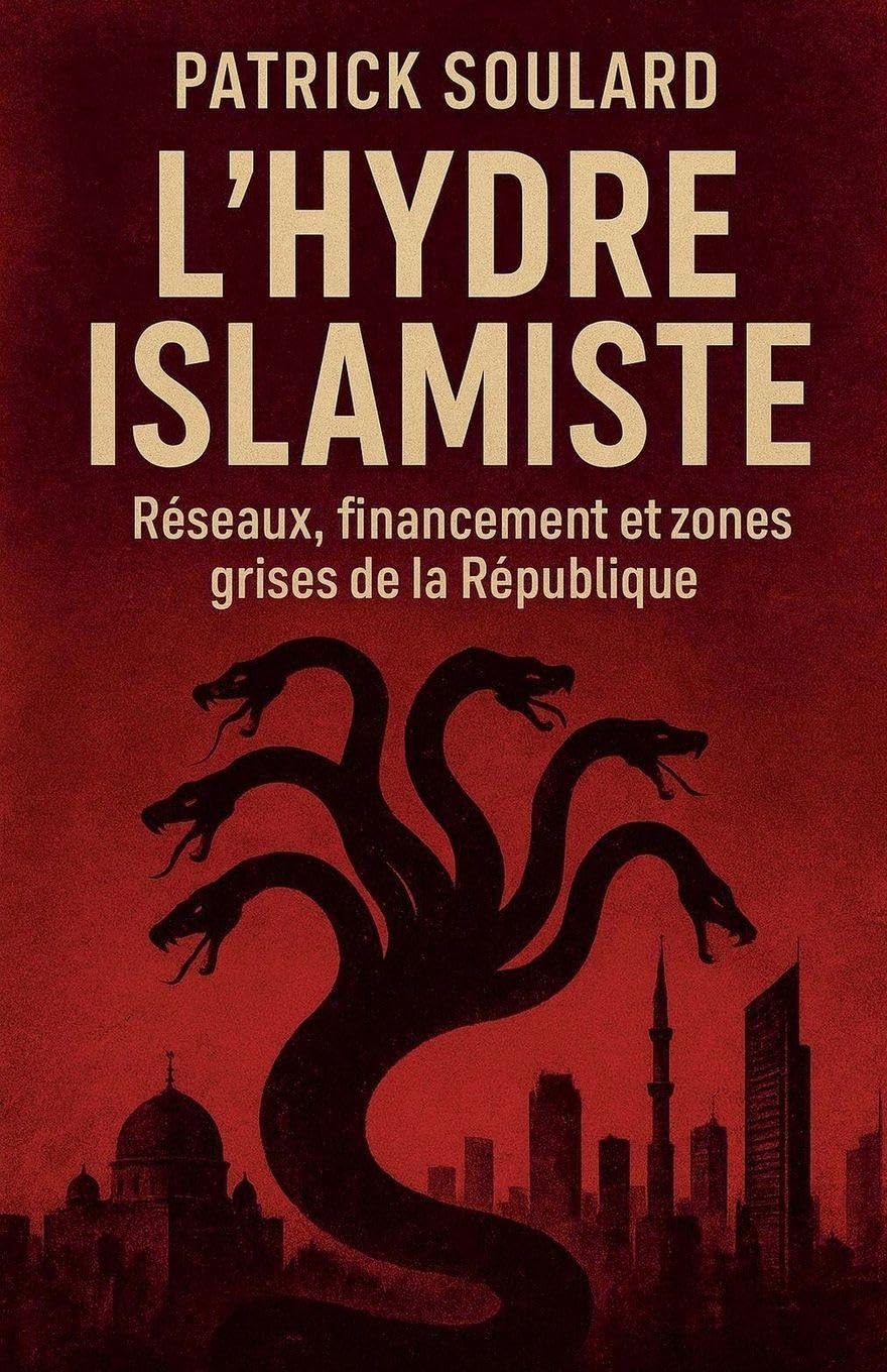 L'hydre islamiste, réseaux, financement et zones grises de la République Contemporary literature