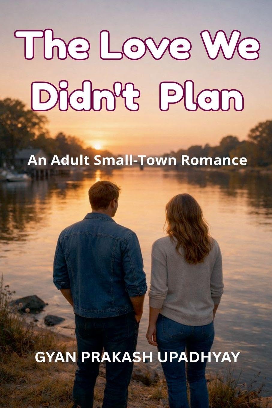 The Love We Didn't  Plan Contemporary literature