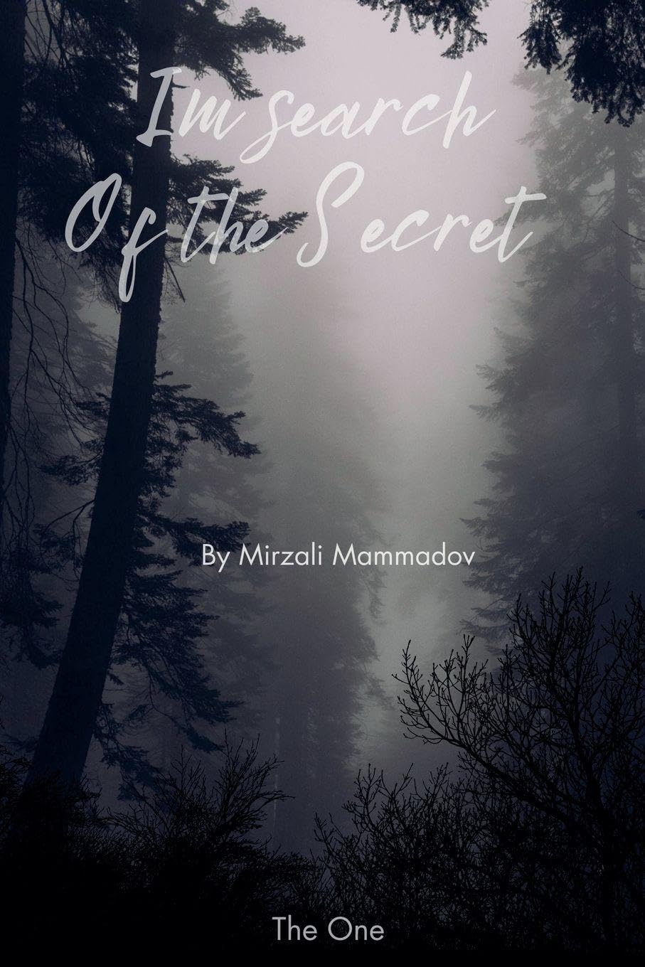 In Search of the Secret Contemporary literature