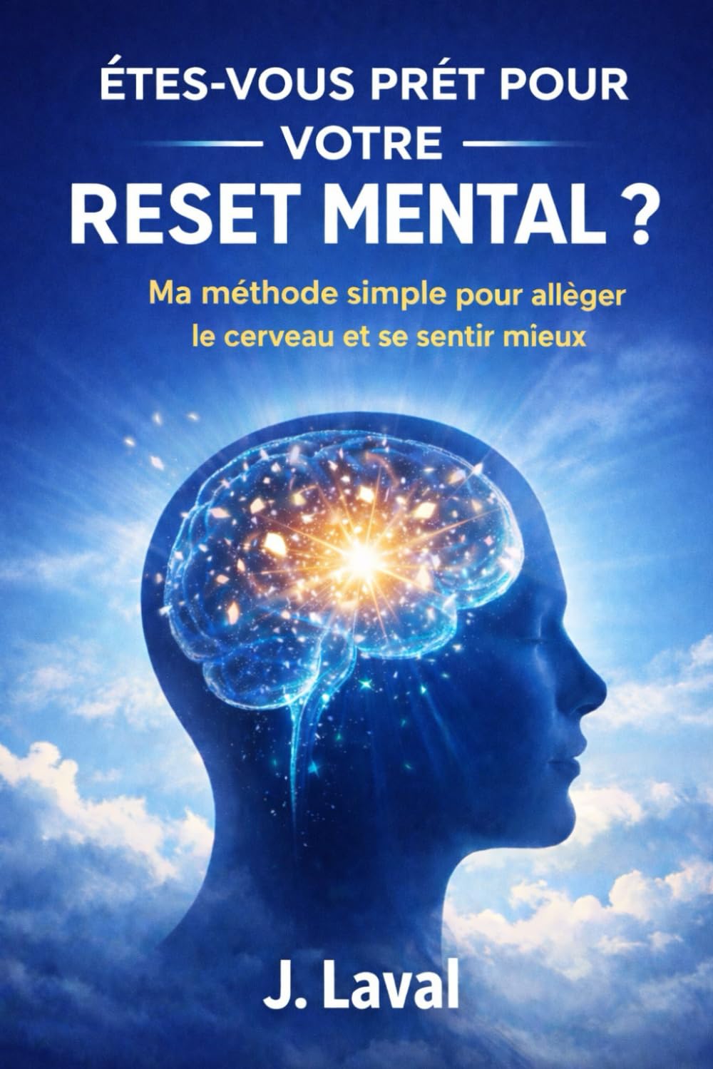 ÊTES-VOUS PRÊT POUR VOTRE RESET MENTAL ?: Ma méthode simple pour alléger le cerveau et se sentir mieux book