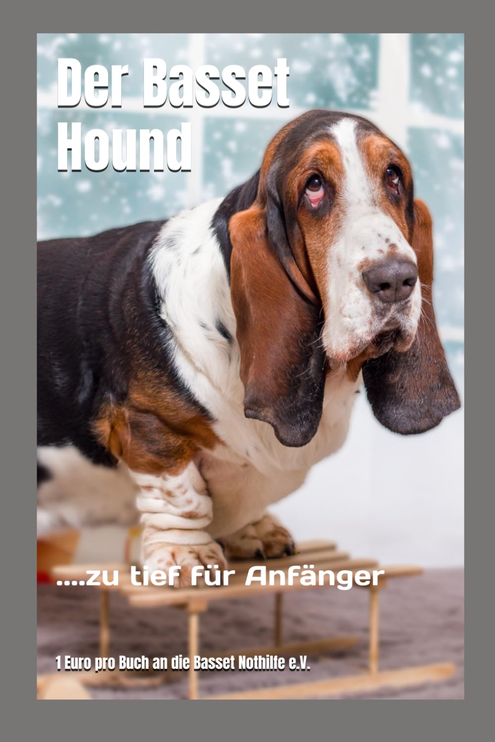 Der Basset Hound: ....zu tief für Anfänger Pets