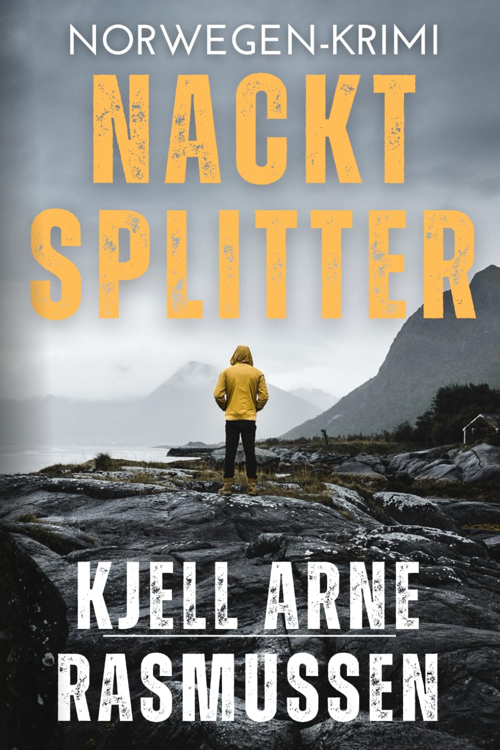 Nacktsplitter: Norwegen-Krimi (Sonderermittler: Morten Krogh Larsson, Band 2) Detective & CSI