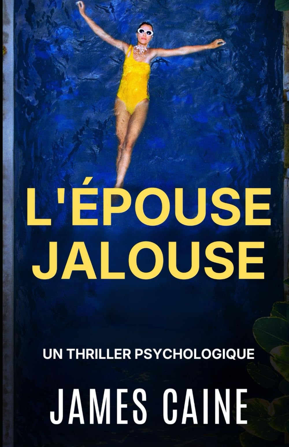 L'Épouse Jalouse: Un Thriller Psychologique book
