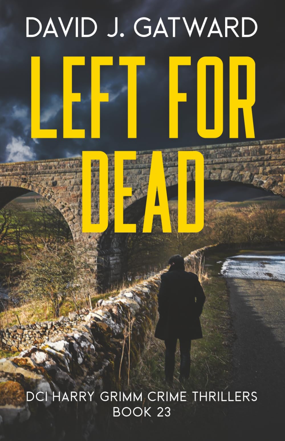 Left for Dead: A Yorkshire Murder Mystery (DCI Harry Grimm Crime Thrillers, Band 23) Action & Adventure