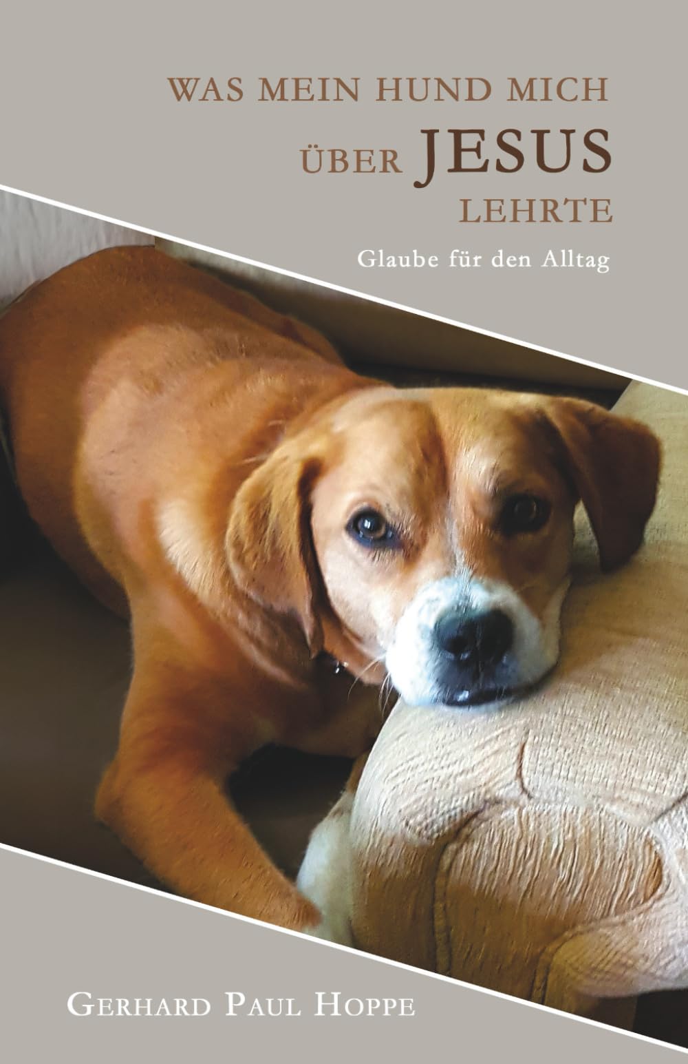 Was mein Hund mich über Jesus lehrte: Glaube für den Alltag Religion & Esotericism