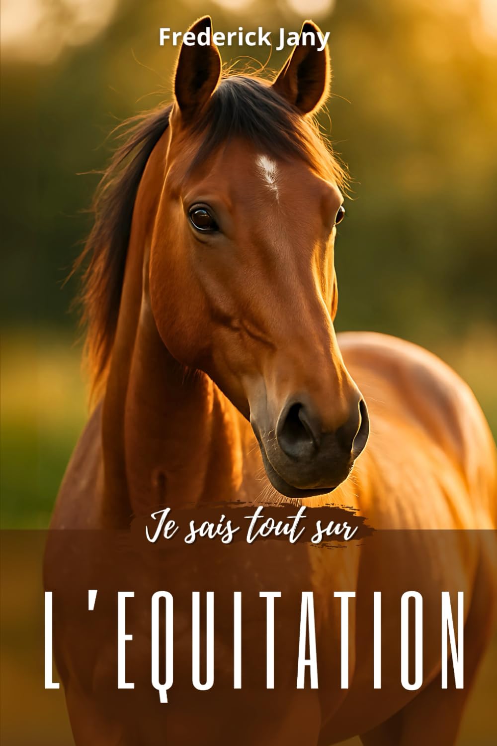 Je sais tout sur l'équitation : Tous les secrets pour mieux comprendre le cheval book