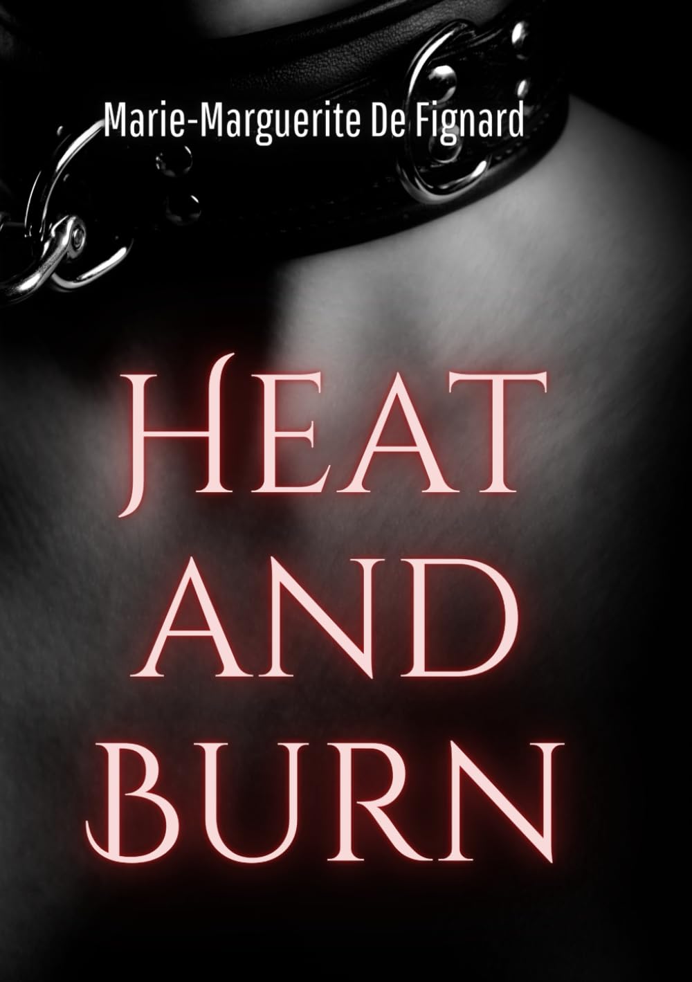 Heat And Burn book