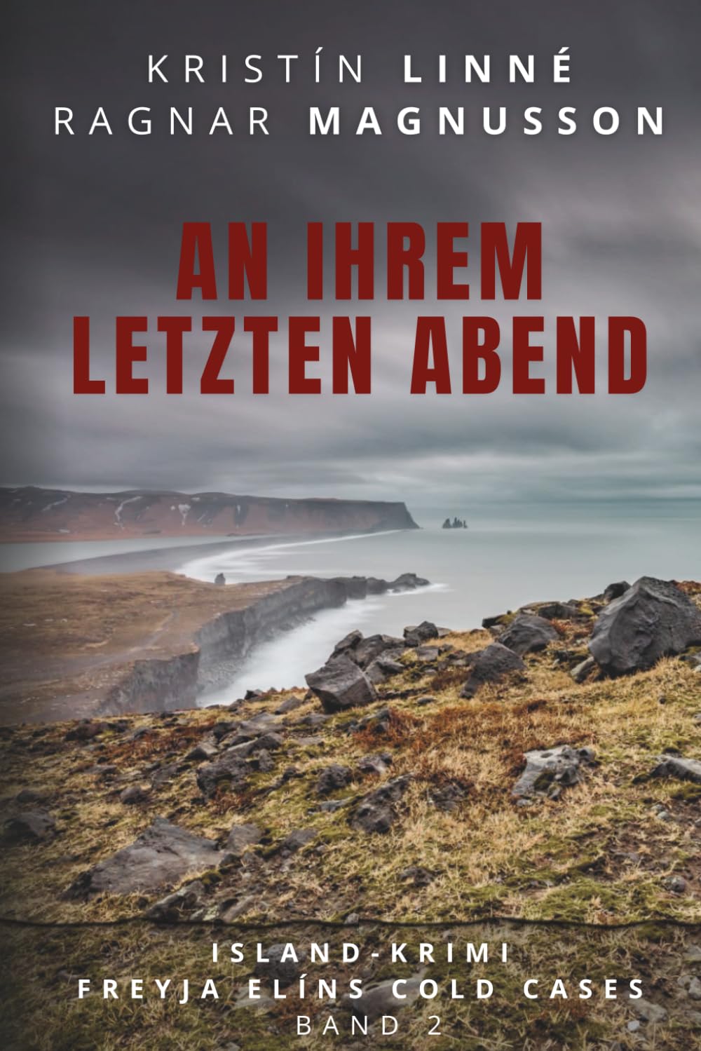 An ihrem letzten Abend: Island-Krimi (Freyja Elíns Cold Cases, Band 2) Detective & CSI