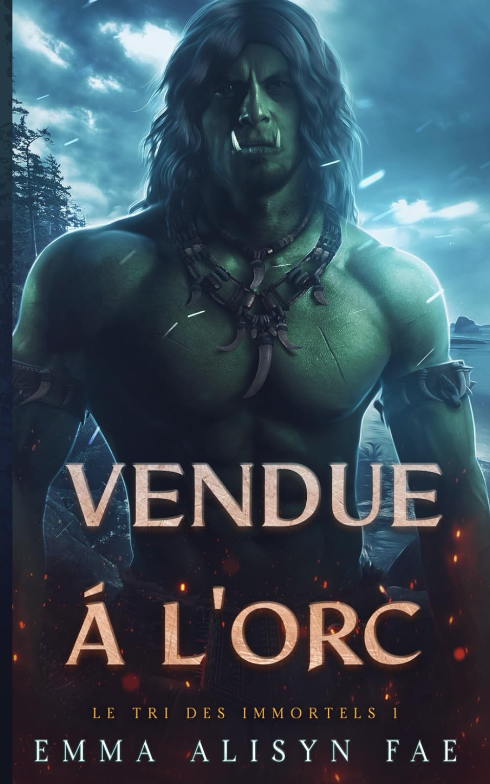 Vendue à l'Orc: Un Romance Fantasy Monstre Orc book