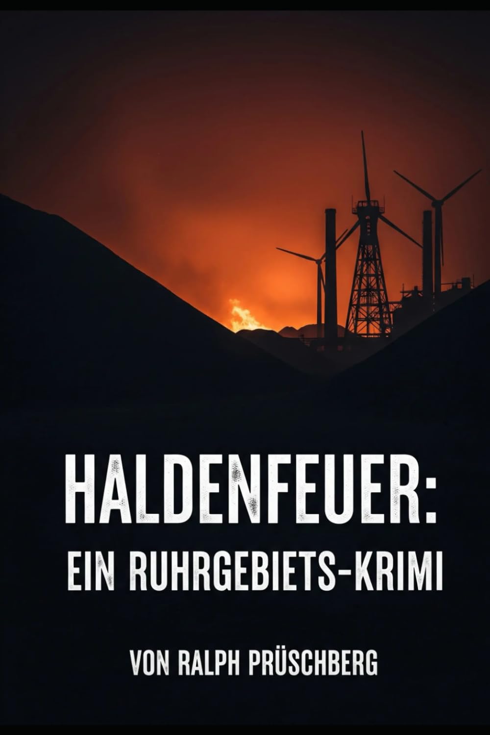 Haldenfeuer: Ein Ruhrgebiets-Krimi (Akte Ruhrpott) Contemporary literature
