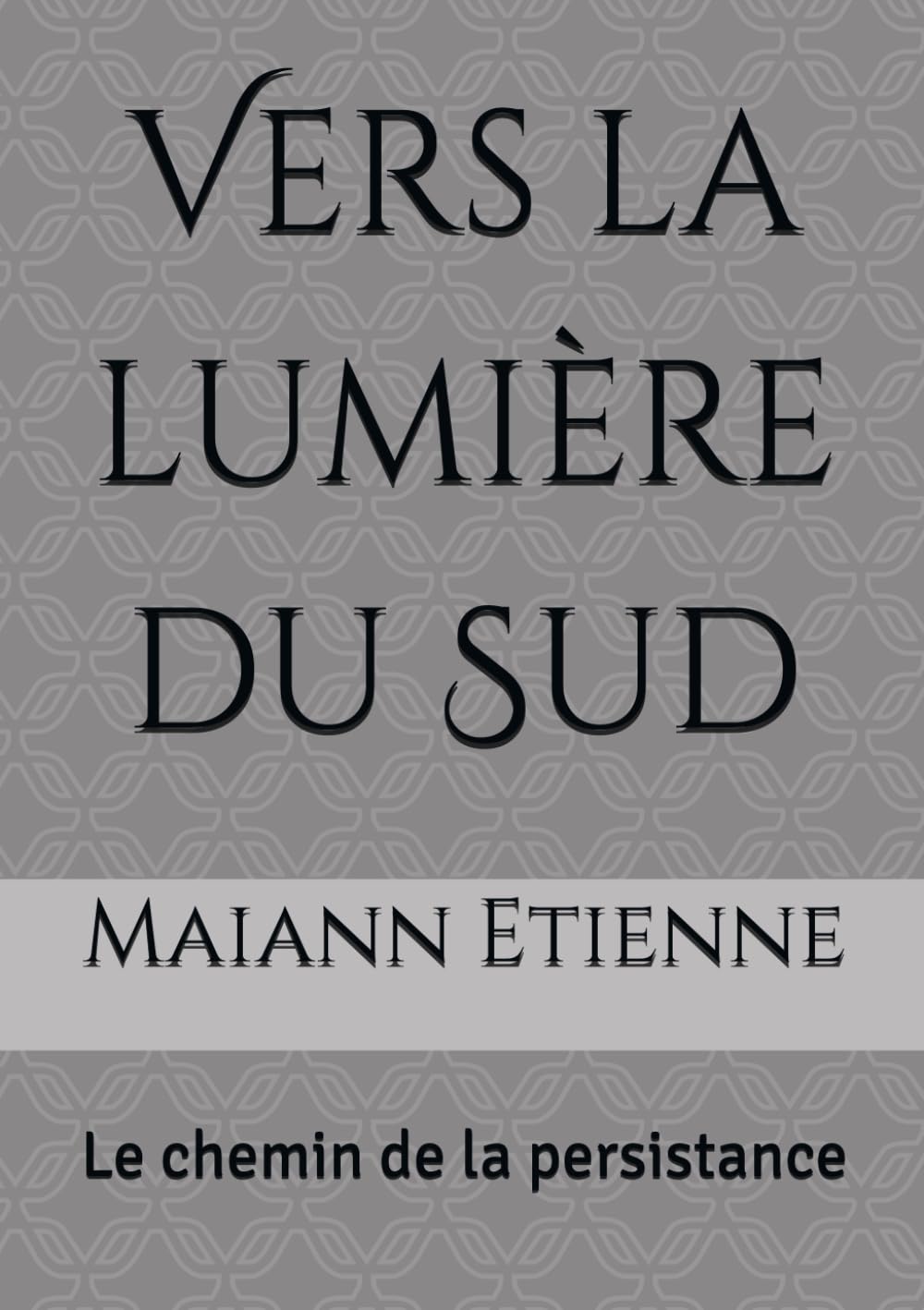 Vers la lumière du Sud: Le chemin de la persistance book
