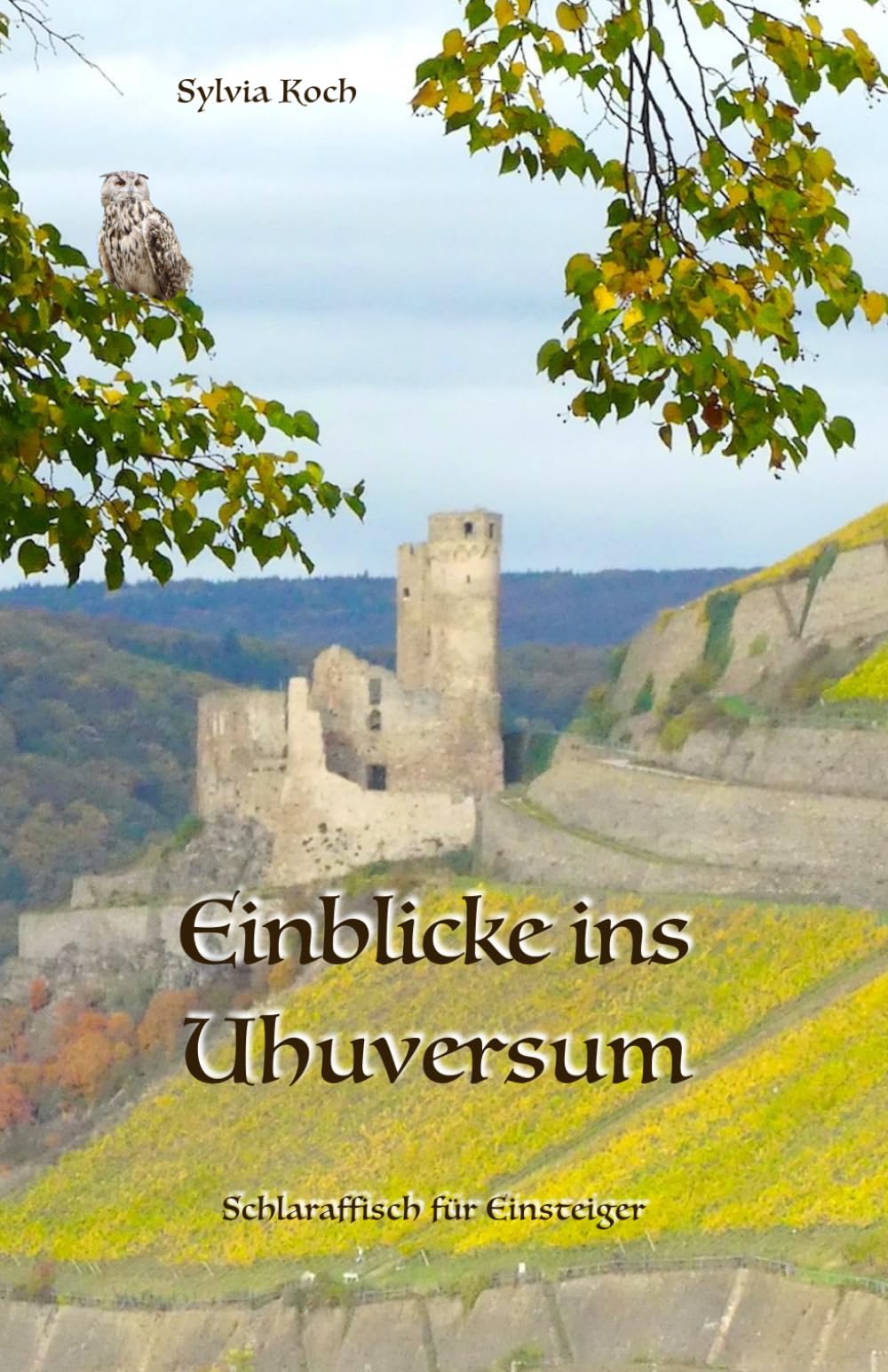Einblicke ins Uhuversum: Schlaraffisch für Einsteiger Politics & Society