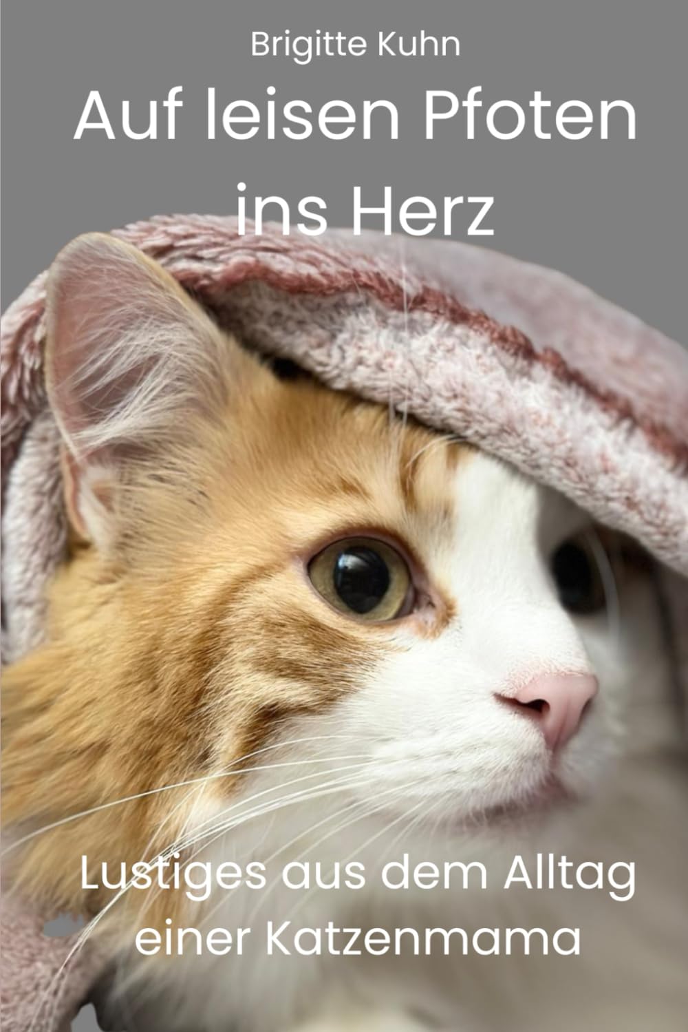 Auf leisen Pfoten ins Herz: Lustiges aus dem Alltag einer Katzenmama Humour & Satire