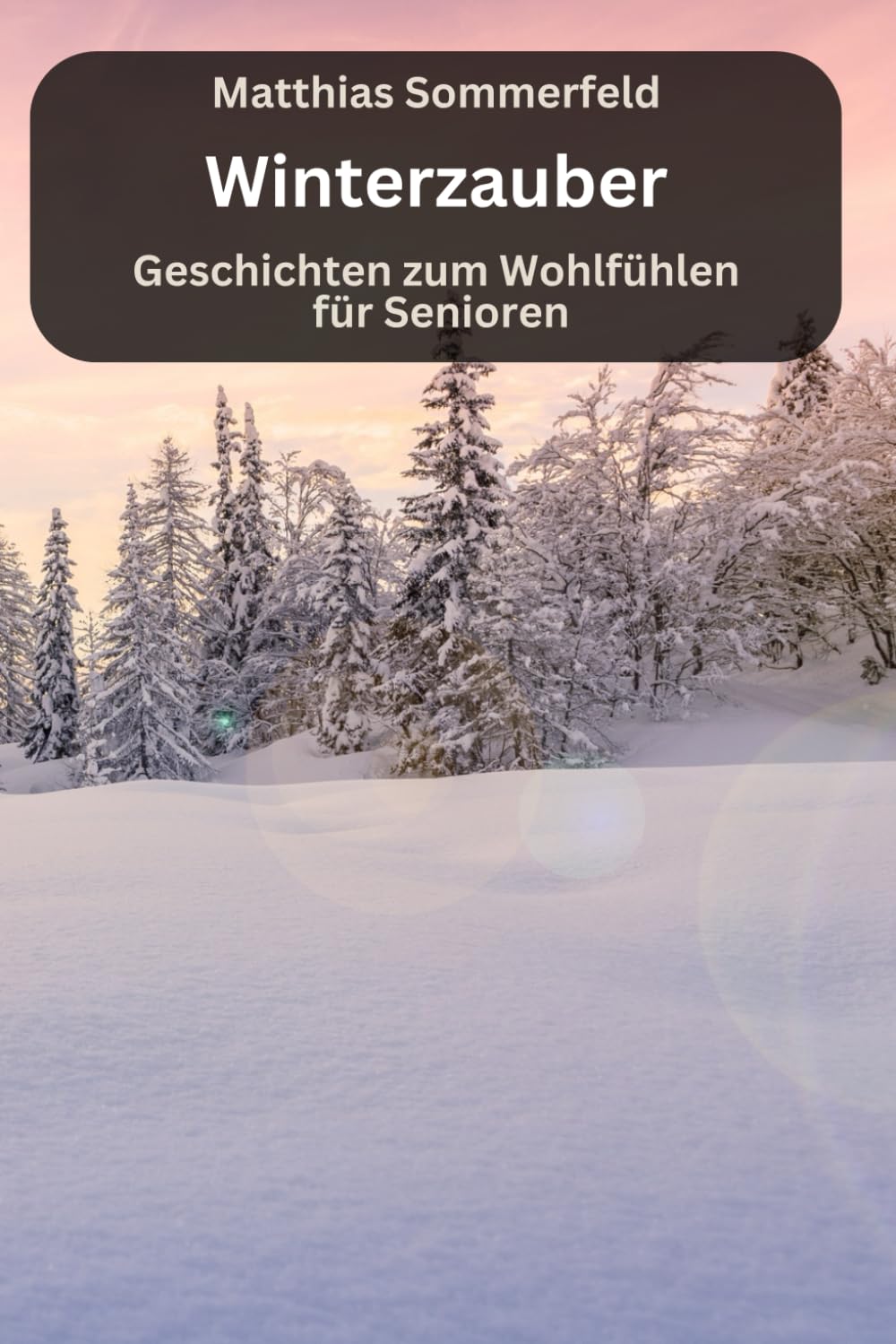 Winterzauber - Geschichten für Senioren zum Wohlfühlen: große Schrift und gut verständlich geschrieben Contemporary literature Books