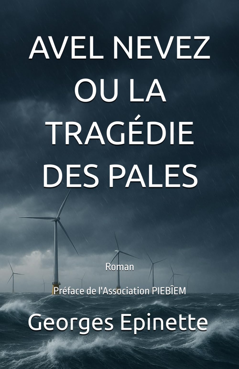 AVEL NEVEZ ou la tragédie des pales book