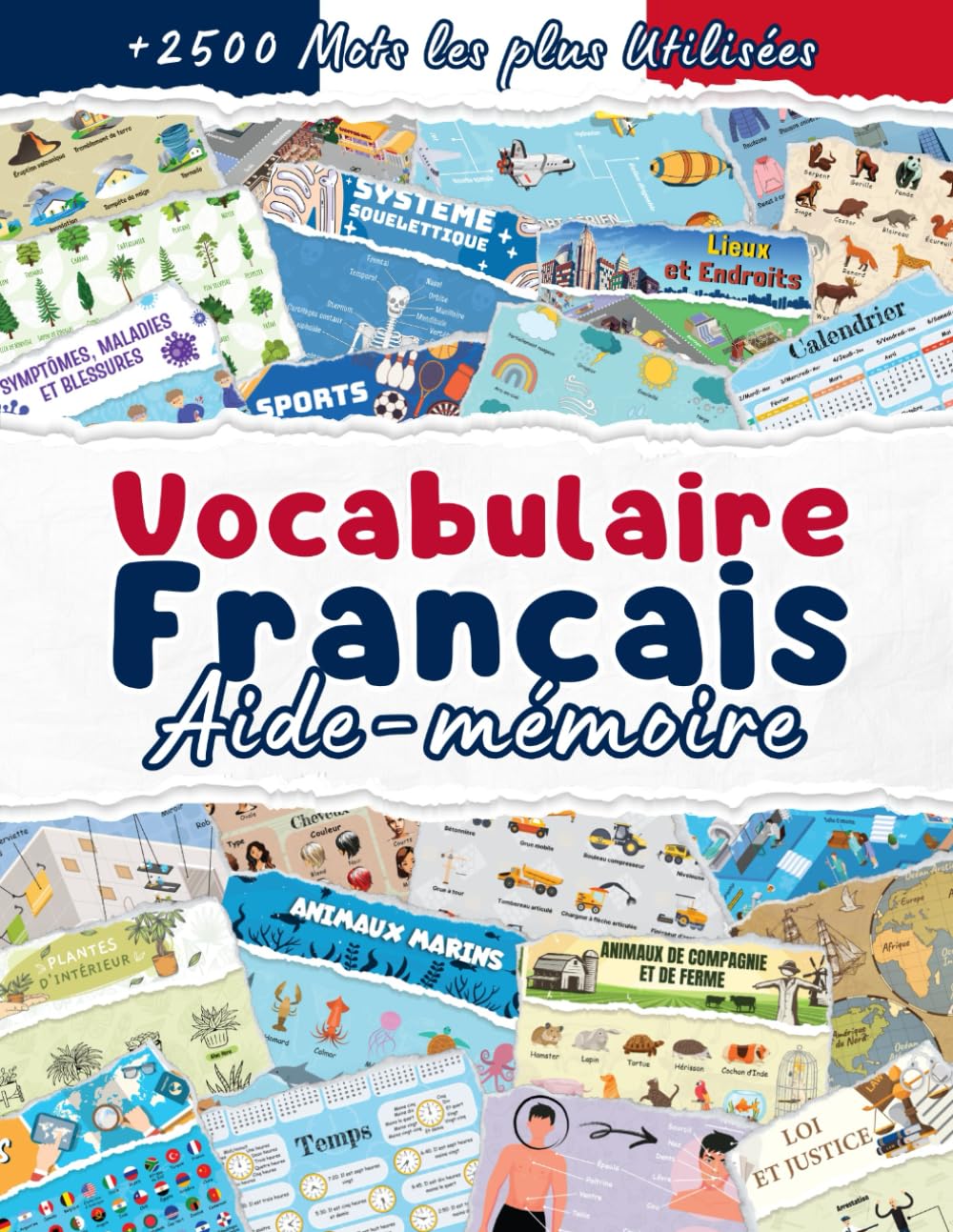 Aide-mémoire de Vocabulaire Français: +2500 Mots Français les plus Utilisées au Quotidien book