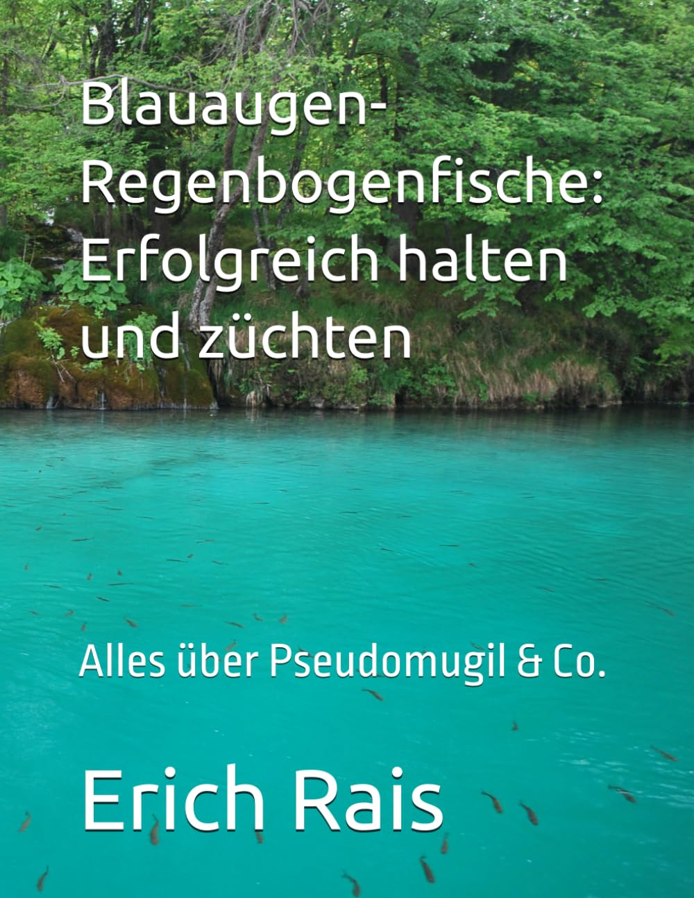 Blauaugen-Regenbogenfische: Erfolgreich halten und züchten: Alles über Pseudomugil & Co. Pets