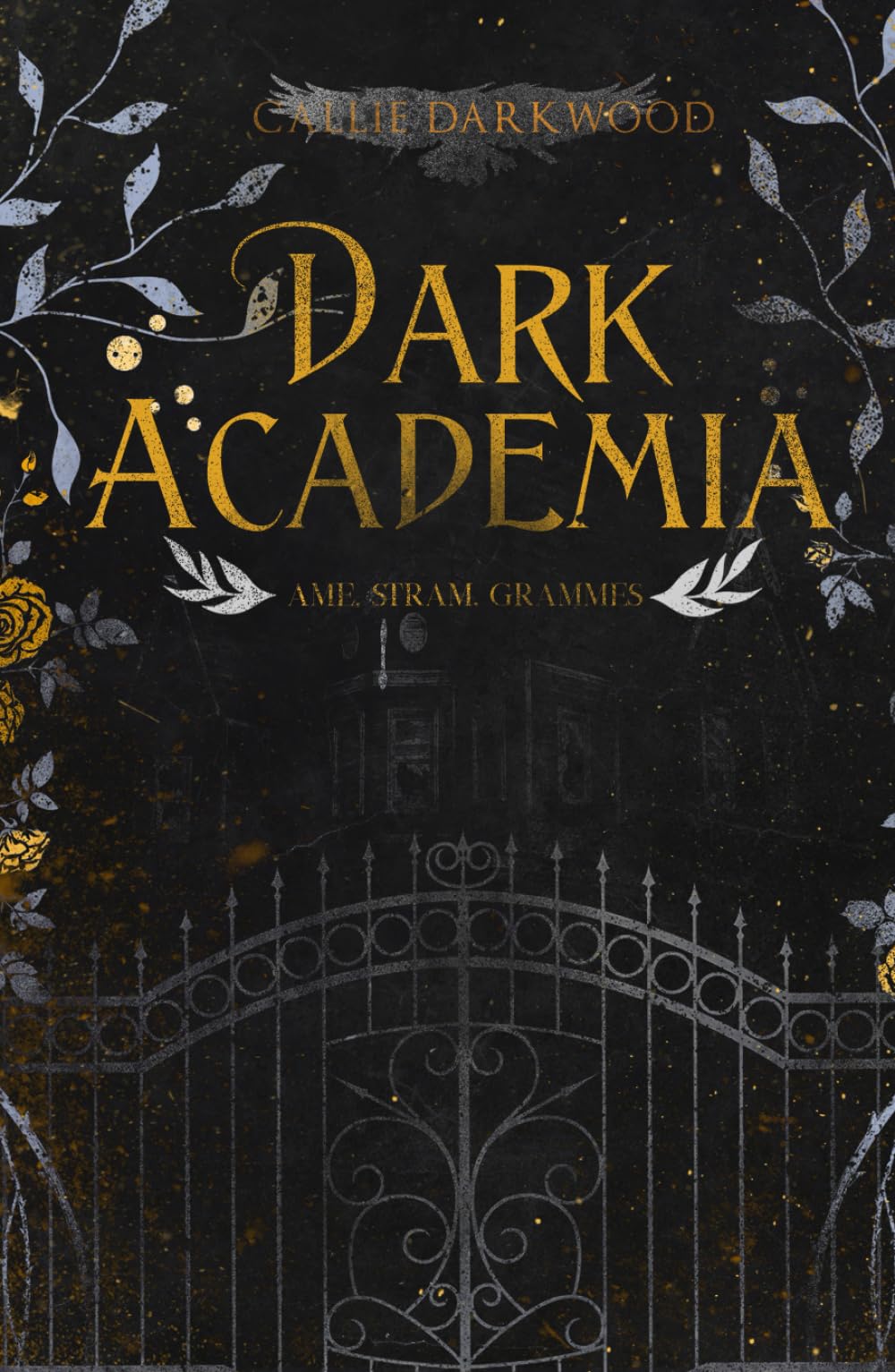 Dark Academia : Âme, Stram, Grammes book