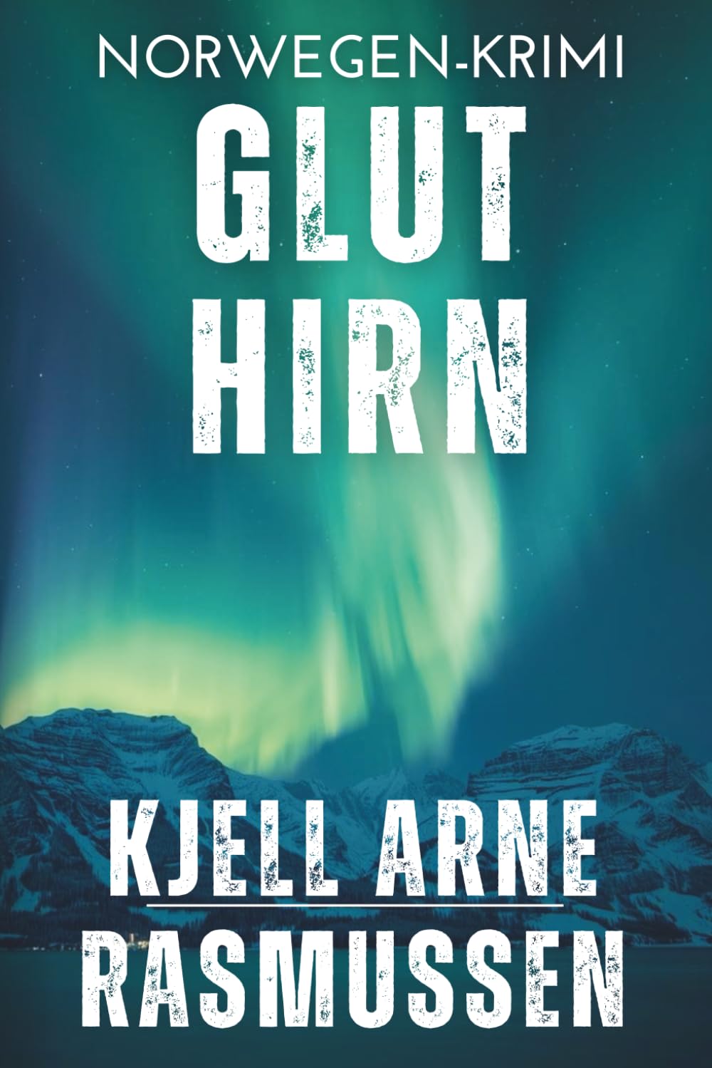 Gluthirn: Norwegen-Krimi (Sonderermittler: Morten Krogh Larsson, Band 1) Detective & CSI