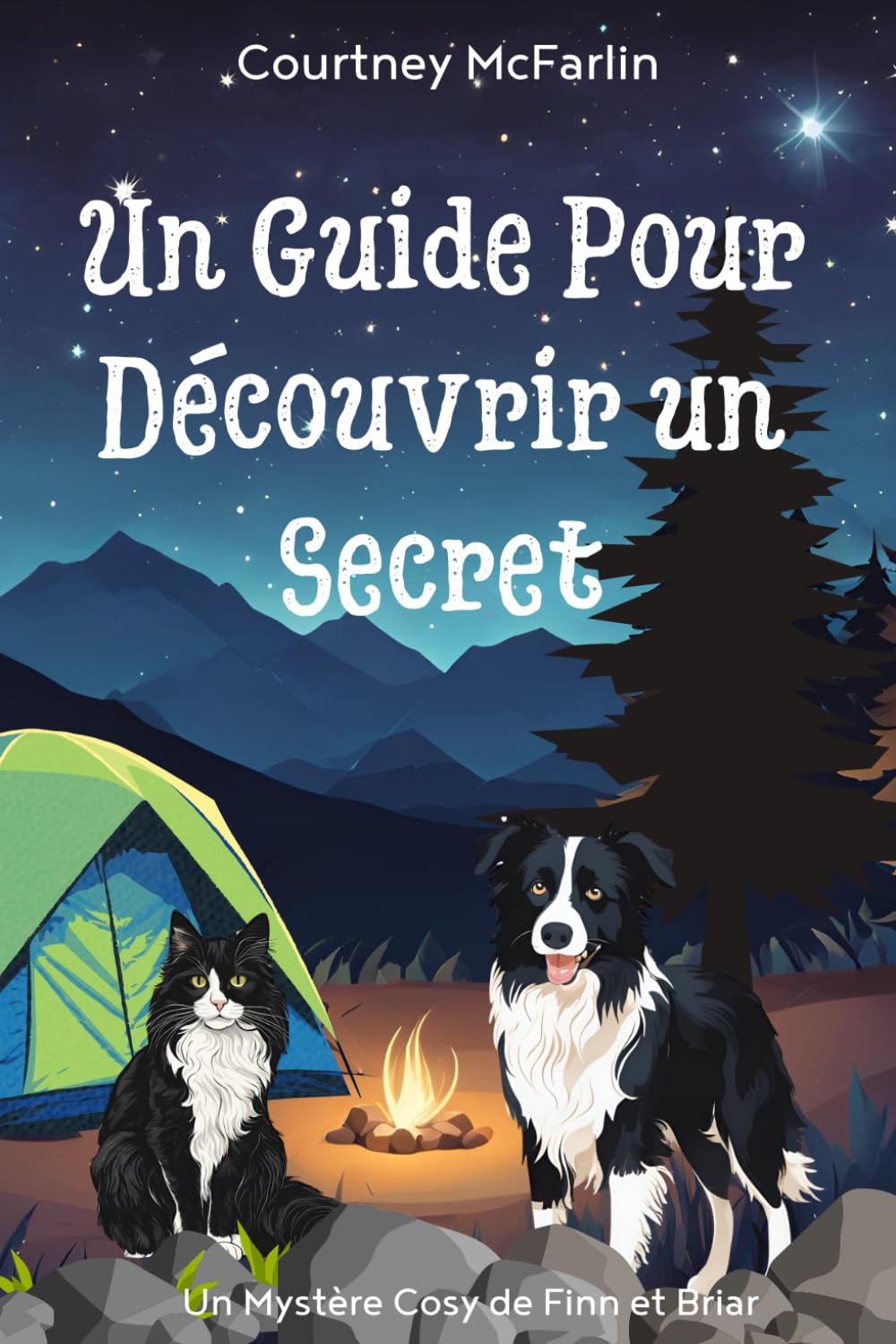 Un guide pour découvrir un secret: Un Mystère Cosy de Finn et Briar #2 book