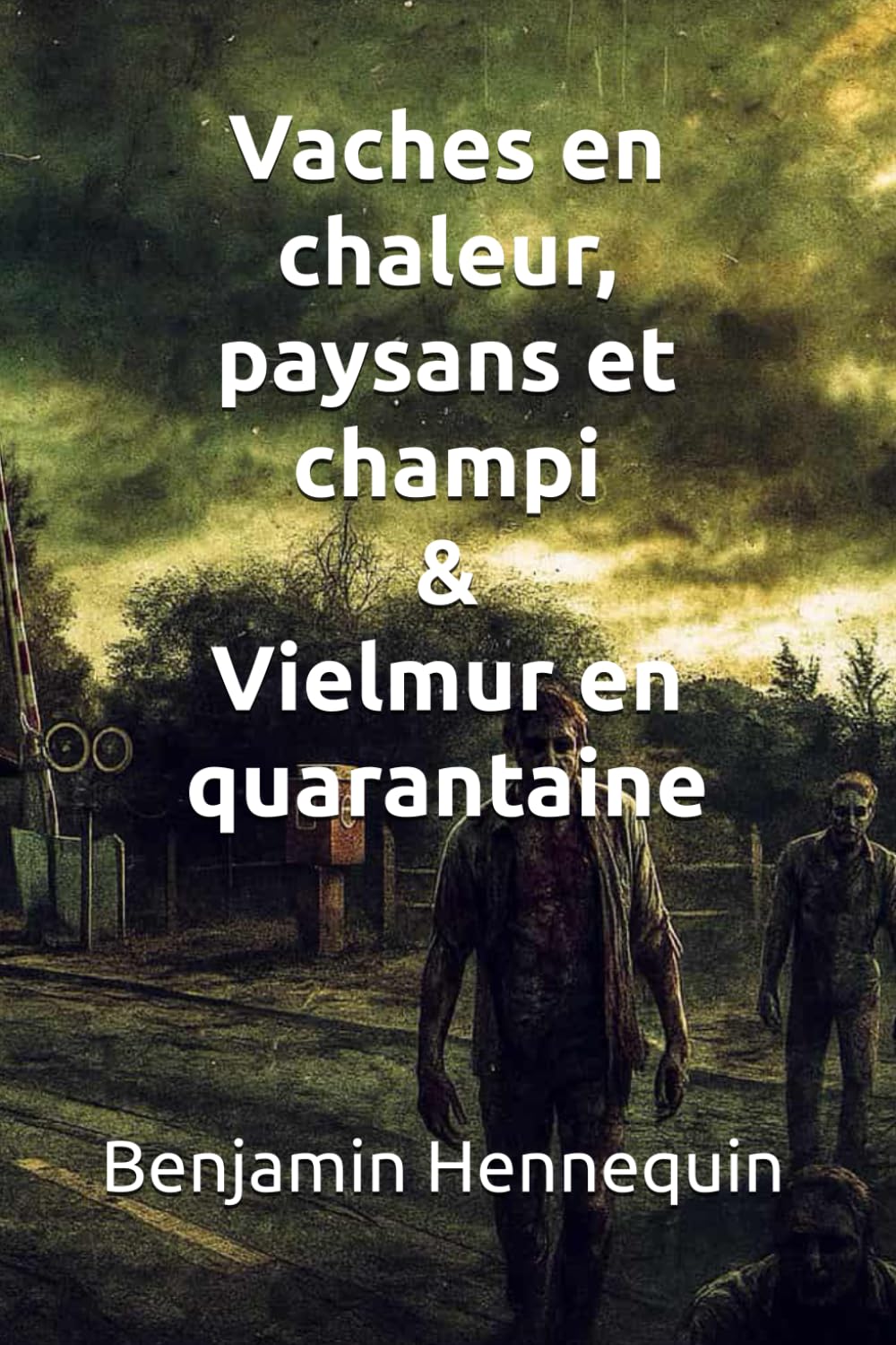 Vaches en chaleur, paysans et champi: Vielmur en quarantaine book