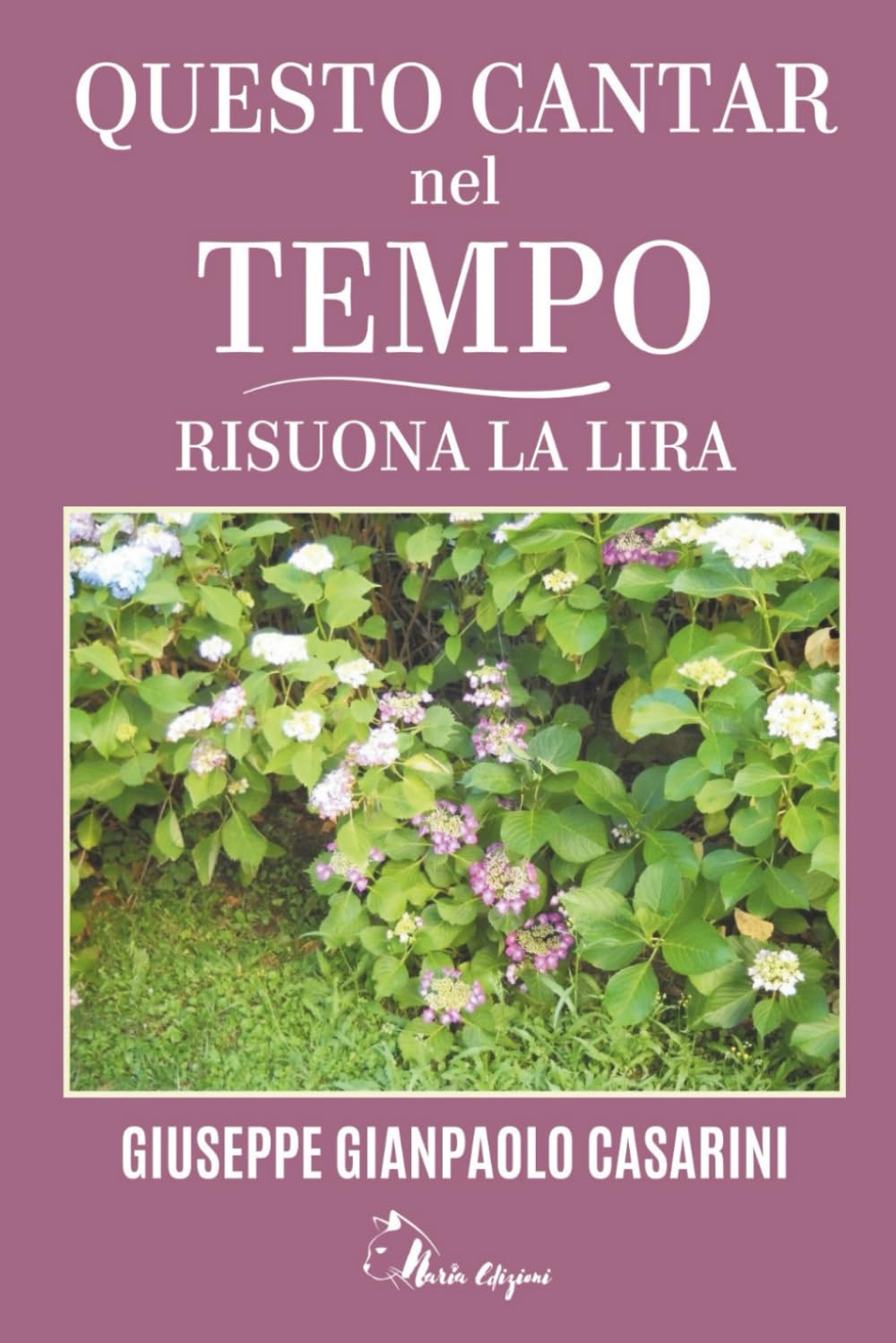 Questo Cantar nel Tempo Risuona la Lira: Libro di Poesie book
