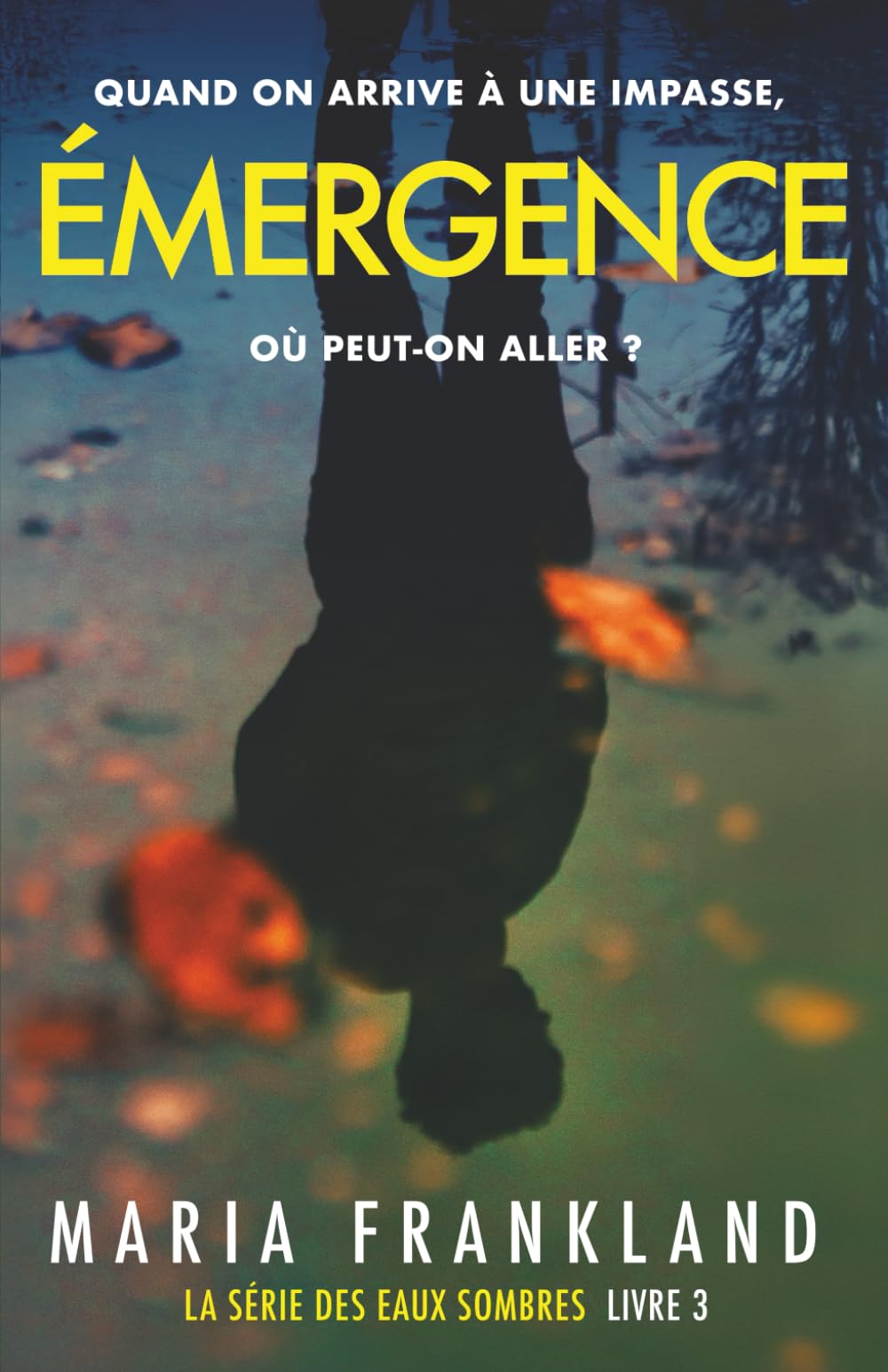 Émergence: Quand on arrive à une impasse, où peut-on aller ? book