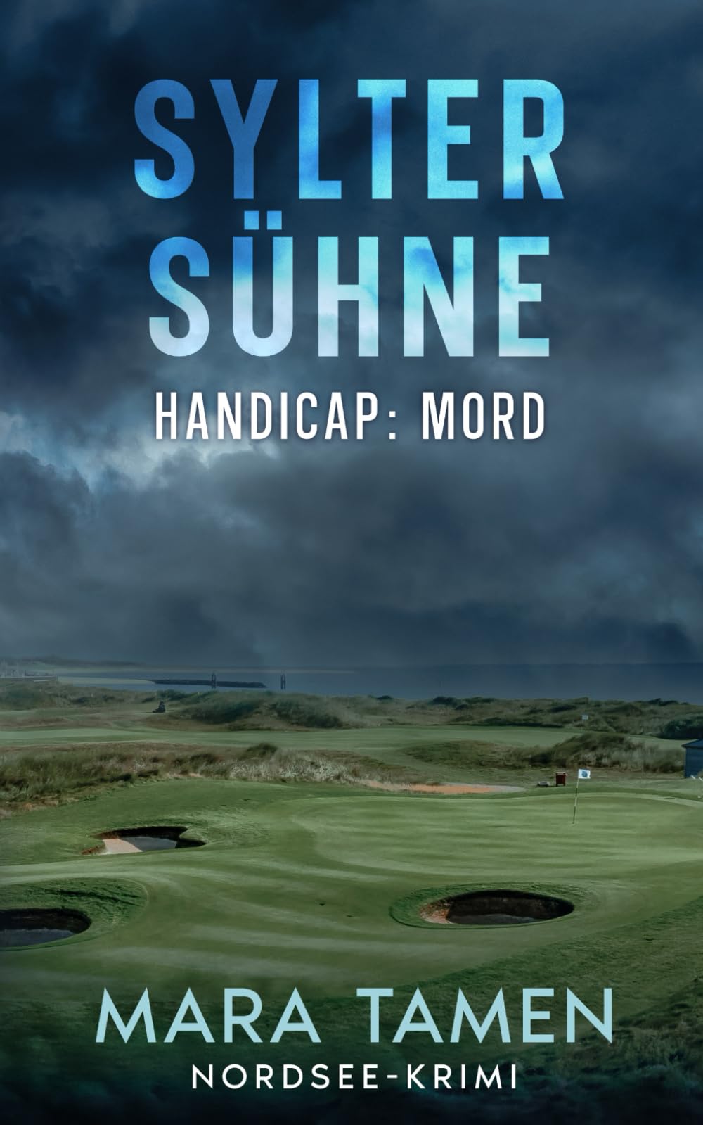 Sylter Sühne: Handicap: Mord (Sina Marten ermittelt, Band 16) Contemporary literature