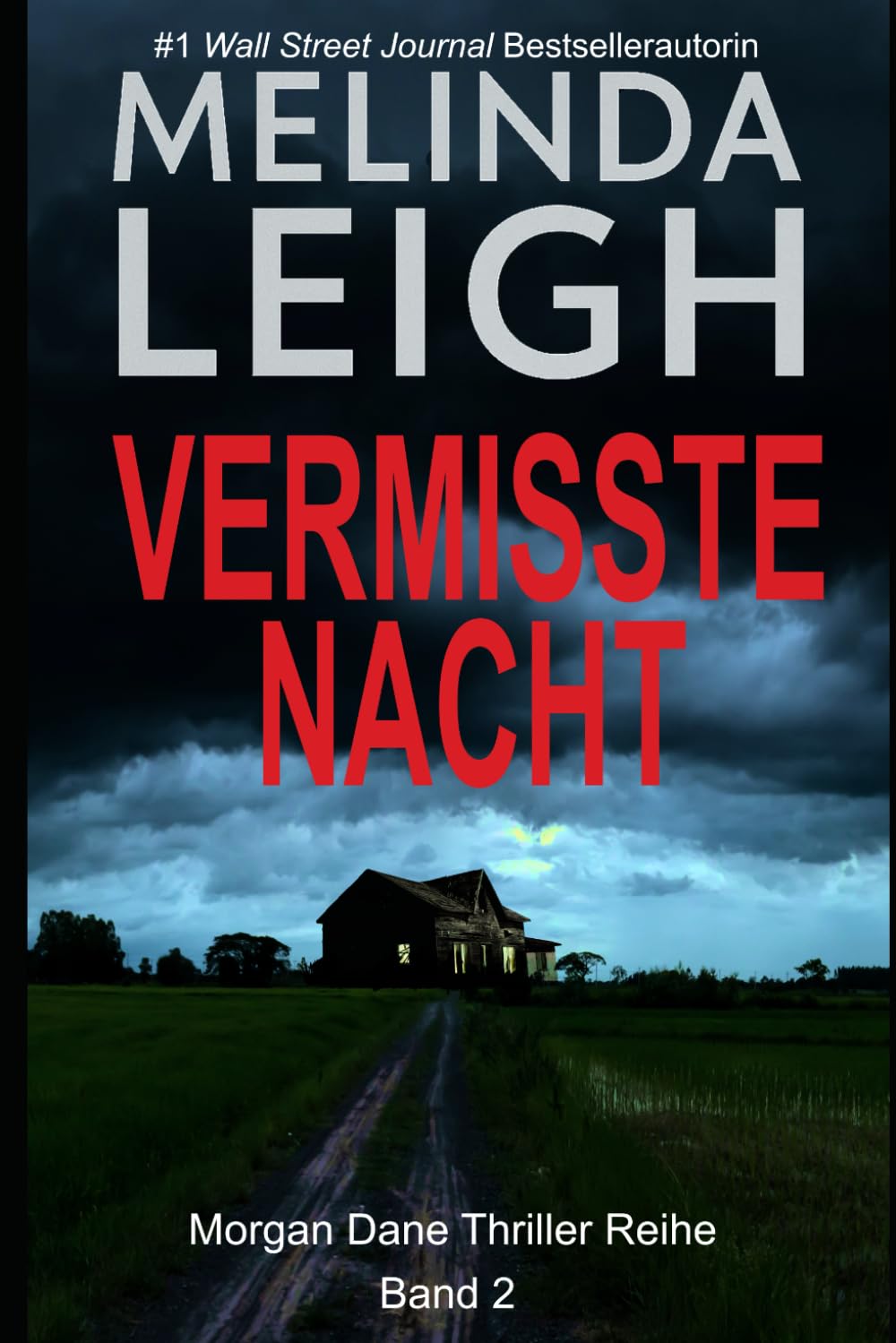 Vermisste Nacht (Die Morgan Dane-Thriller, Band 2) Detective & CSI