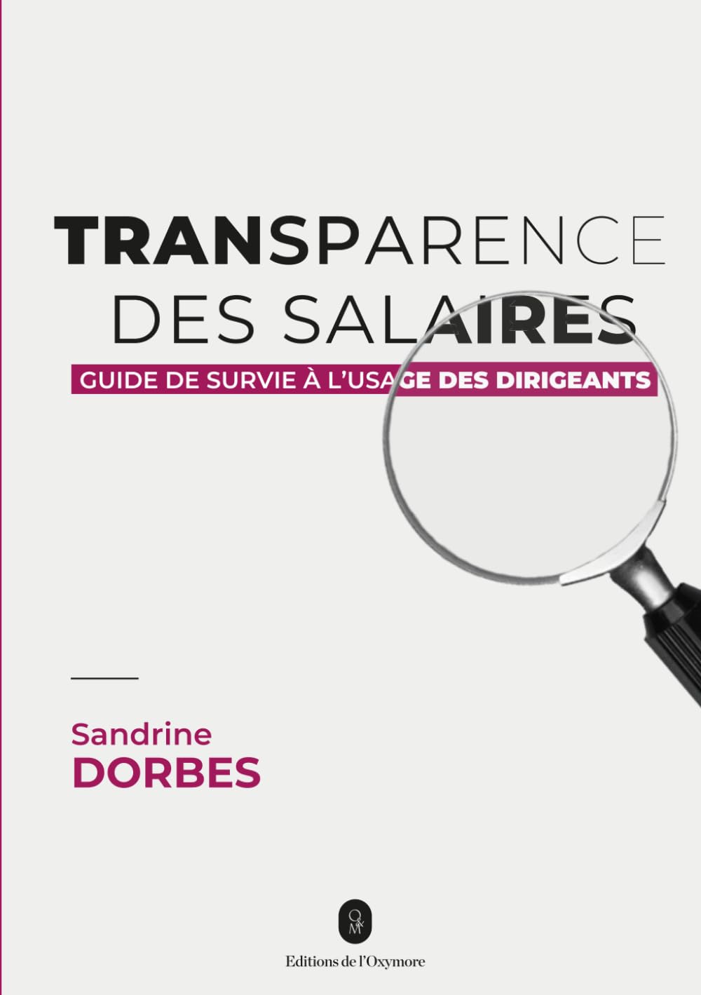 Transparence des salaires: Guide de survie à l’usage de celles et ceux qui dirigent. book