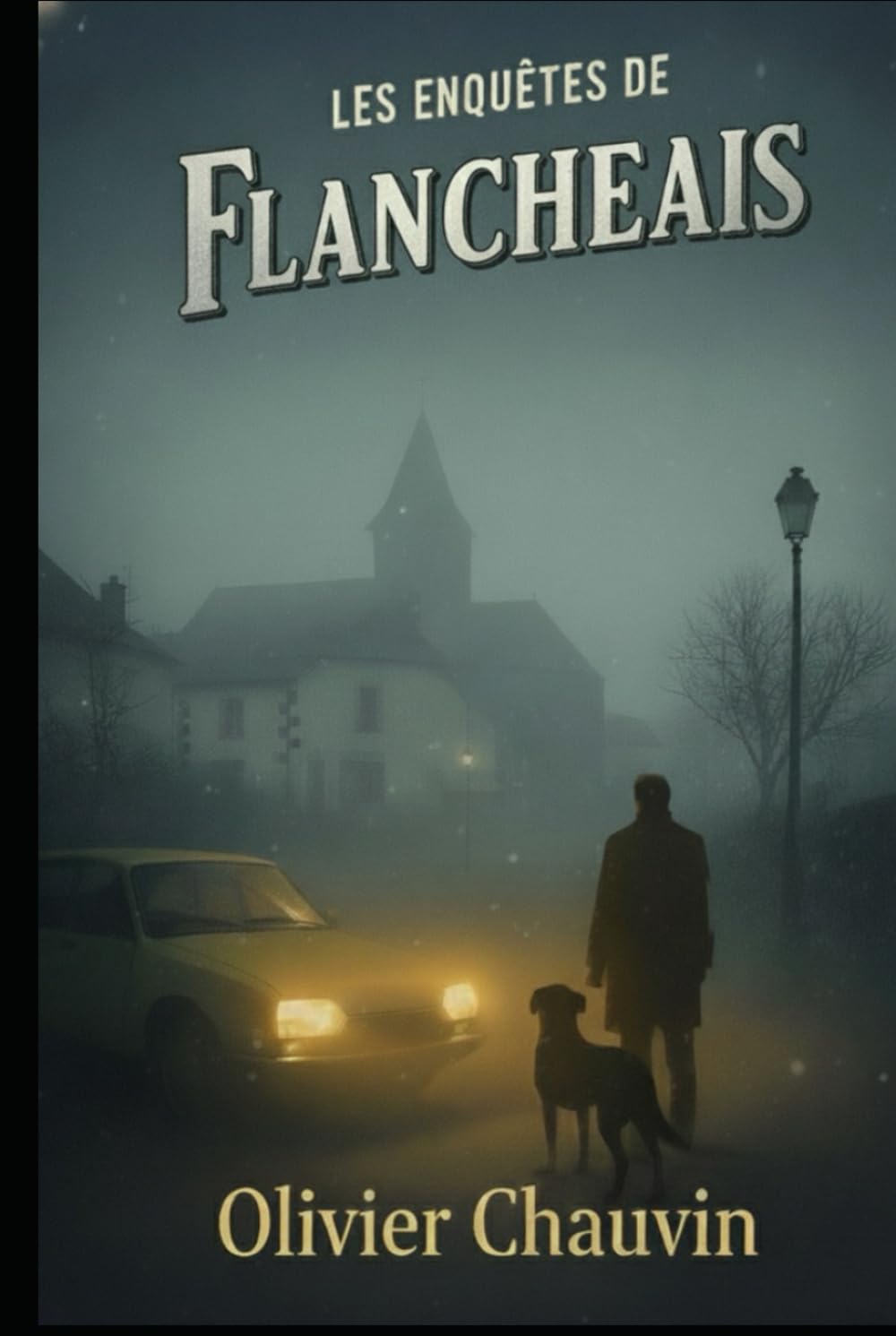 Les enquêtes de Flancheais: TOME 1 L'ombre du Plessis book