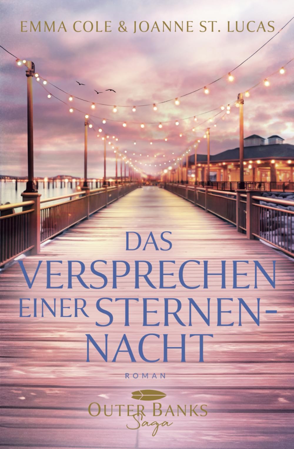 Das Versprechen einer Sternennacht: Outer Banks Saga Contemporary literature