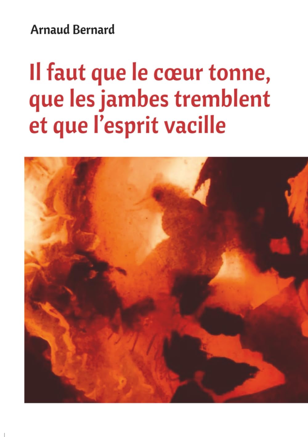 Il faut que le cœur tonne, que les jambes tremblent et que l’esprit vacille book