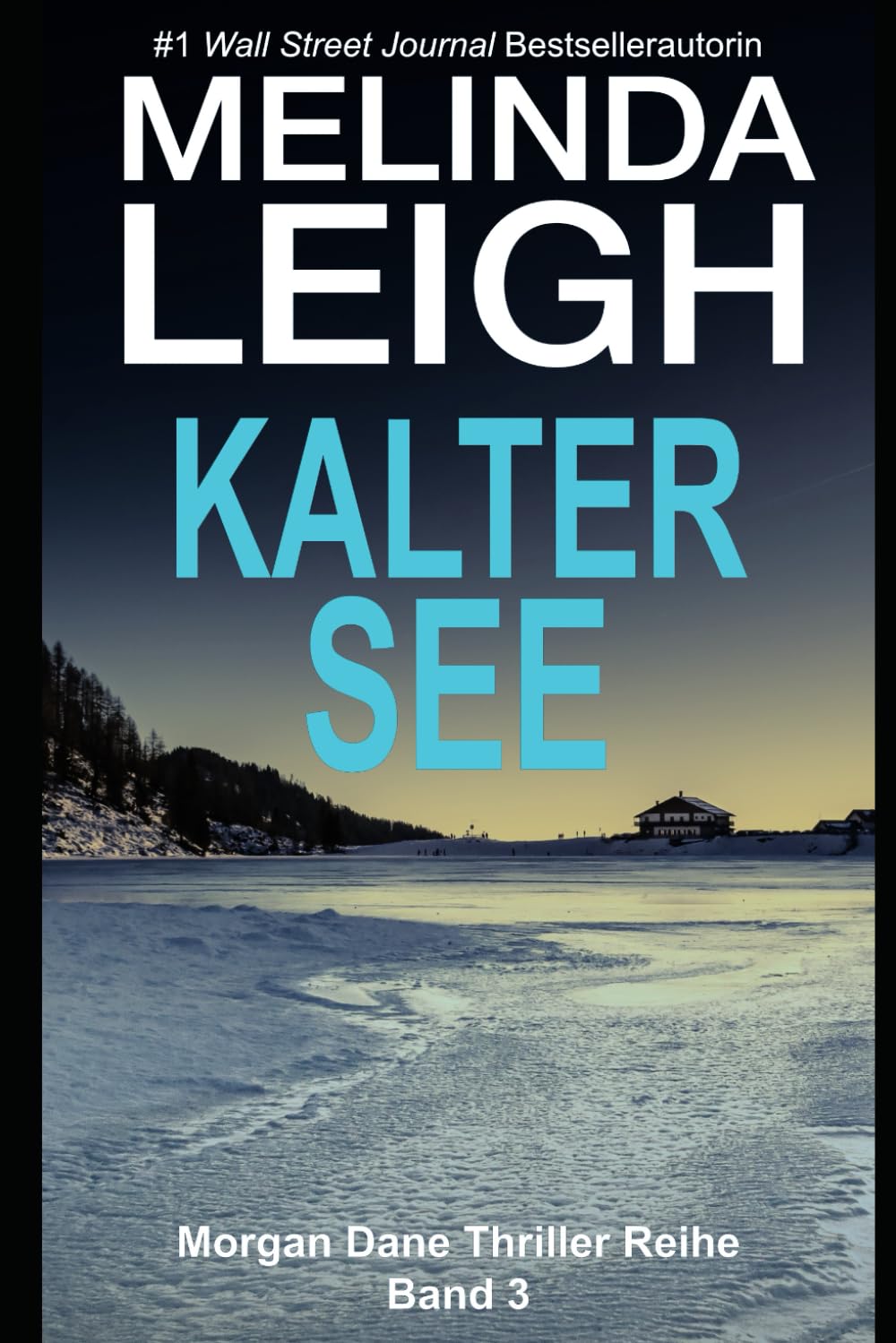Kalter See (Die Morgan Dane-Thriller, Band 3) Detective & CSI