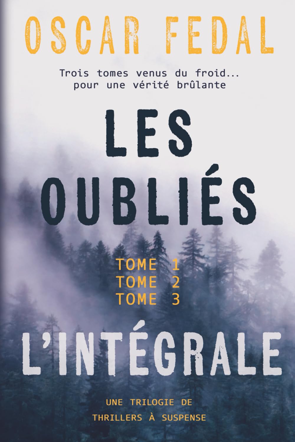 Trilogie Les Oubliés, l'Intégrale (Tomes 1, 2 et 3): Des Thrillers venus du froid book