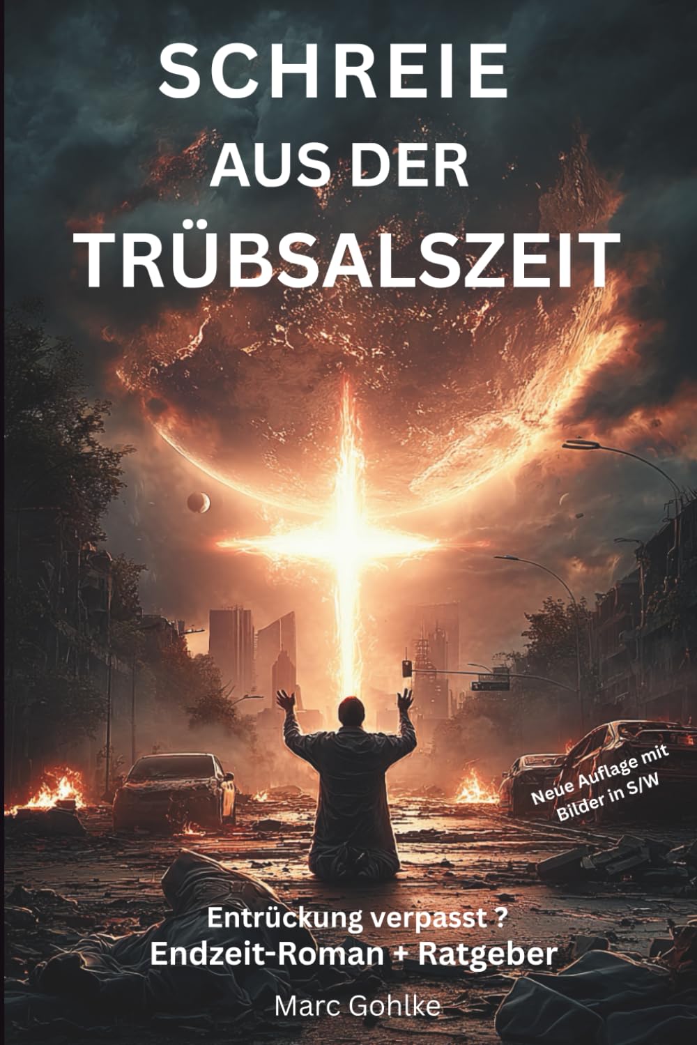 Schreie aus der Trübsalszeit: Entrückung verpasst - Endzeit Roman + Ratgeber Philosophy