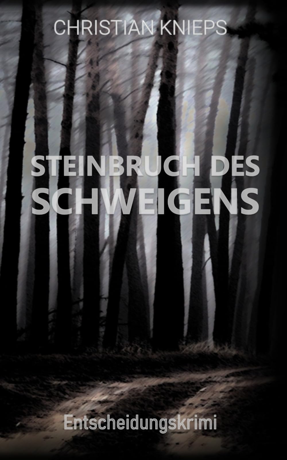 Steinbruch des Schweigens: Kriminalroman Detective & CSI