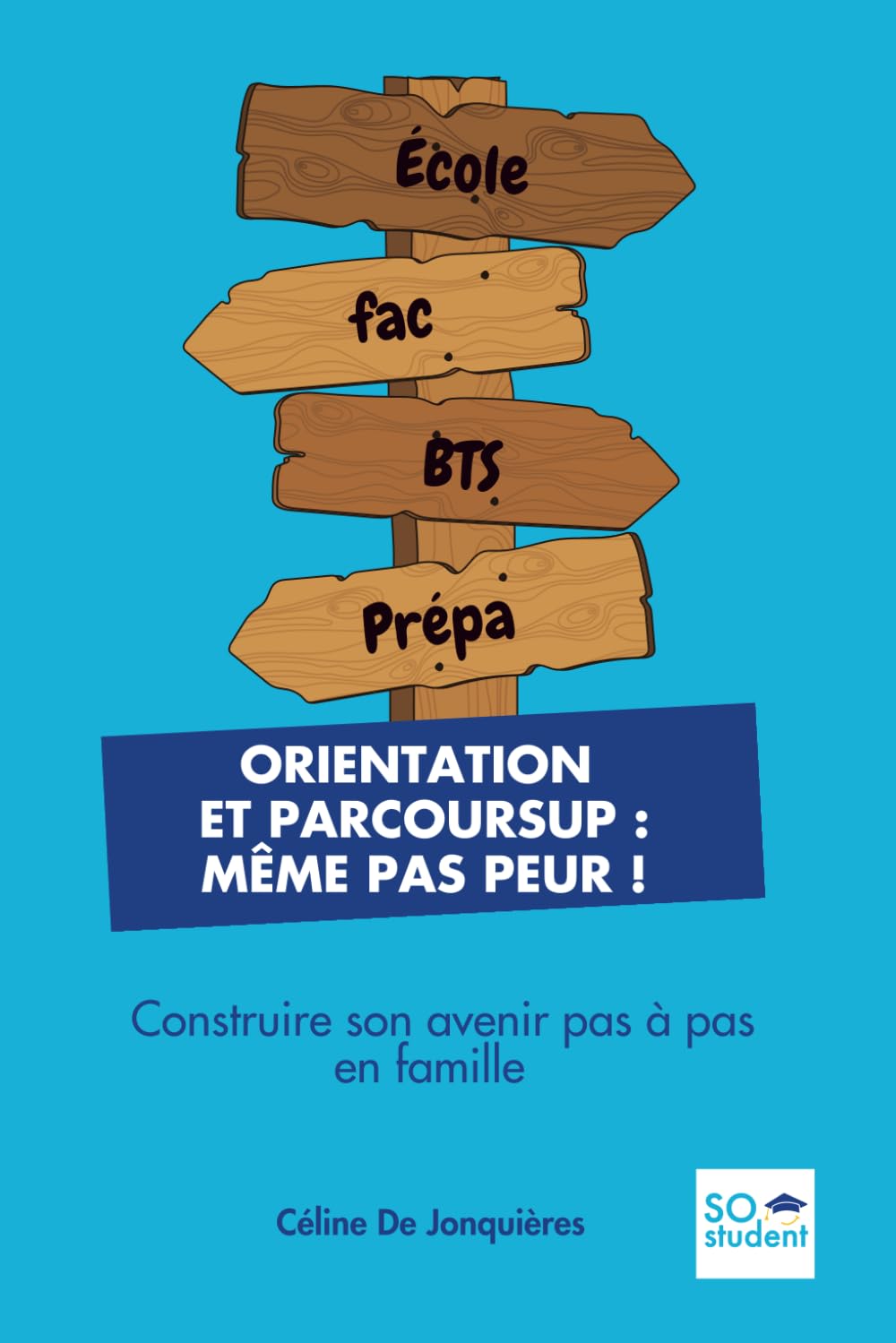 ORIENTATION ET PARCOURSUP : MÊME PAS PEUR !: Construire son avenir pas à pas en famille book