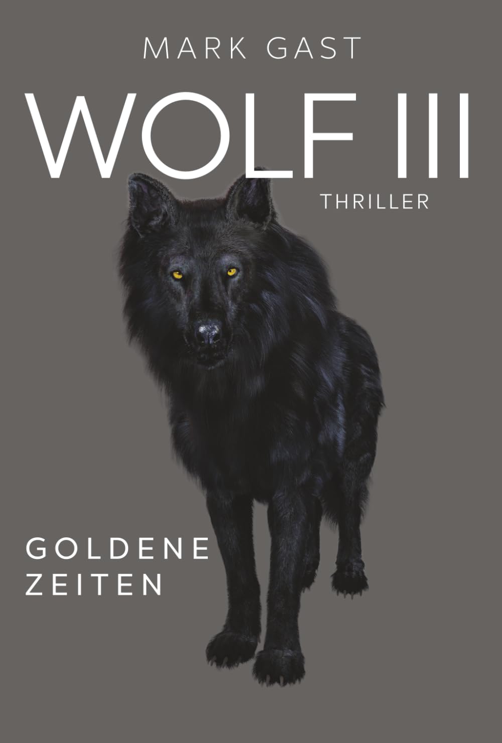 WOLF 3: Goldene Zeiten - Band 3 der Bestsellerserie Action & Adventure