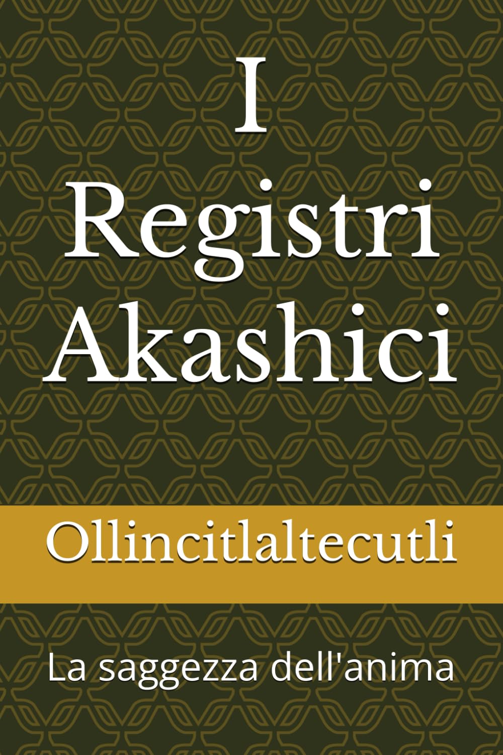 I Registri Akashici: La saggezza dell'anima book